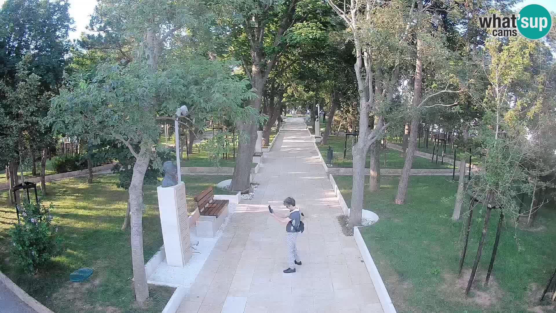 Webcam Parco degli Scrittori Segna – Diretta sul Mare