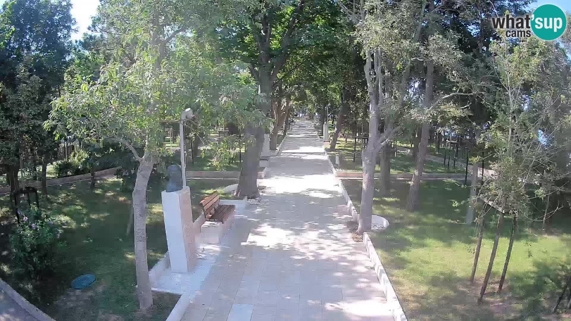Webcam Parco degli Scrittori Segna – Diretta sul Mare