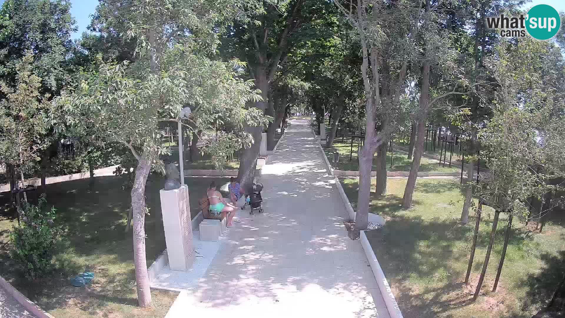 Webcam Parco degli Scrittori Segna – Diretta sul Mare