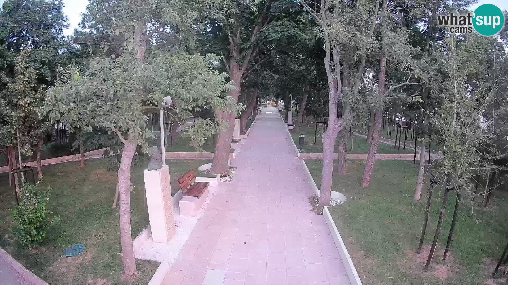 Webcam Parco degli Scrittori Segna – Diretta sul Mare