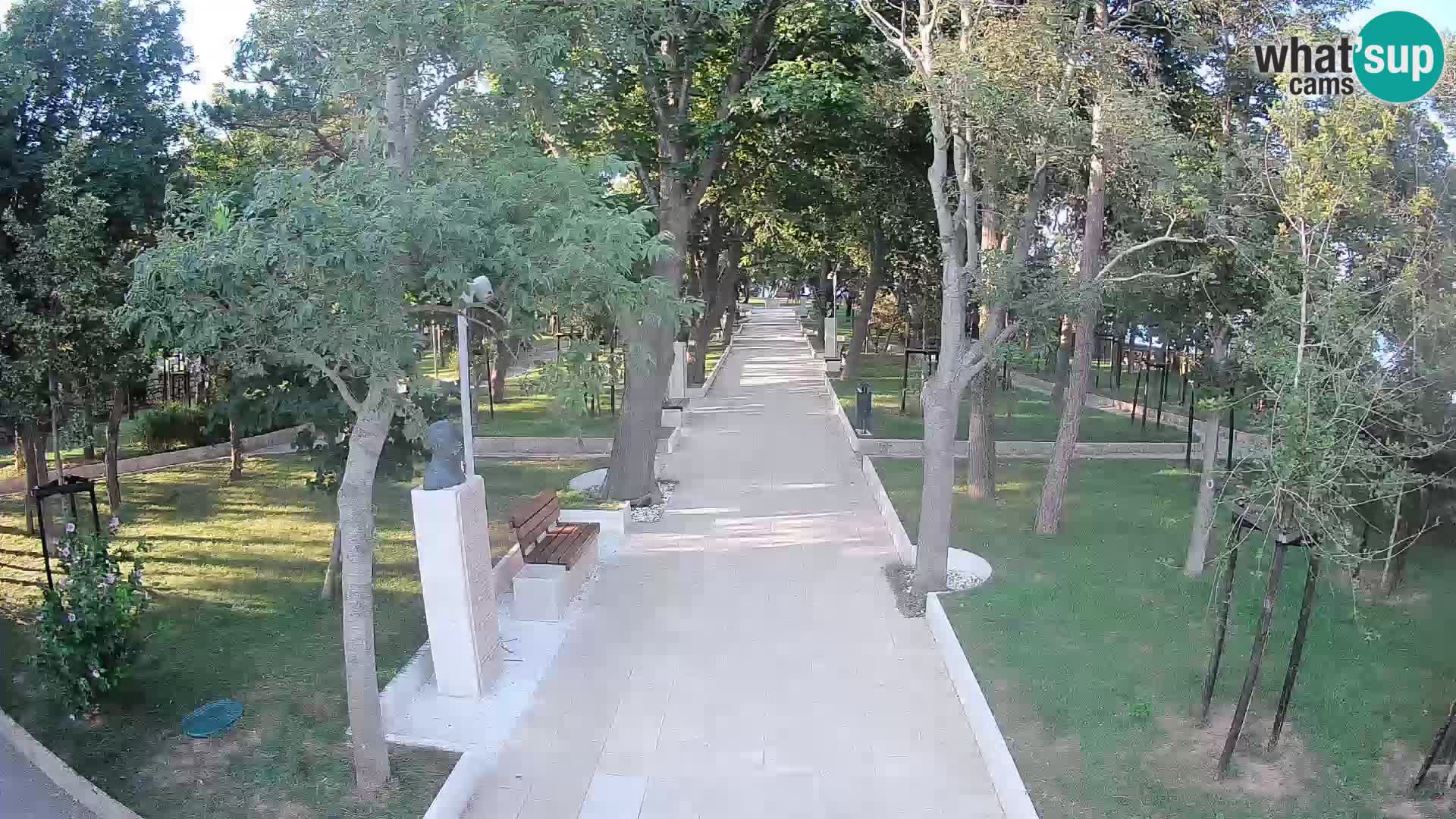 Webcam Parco degli Scrittori Segna – Diretta sul Mare