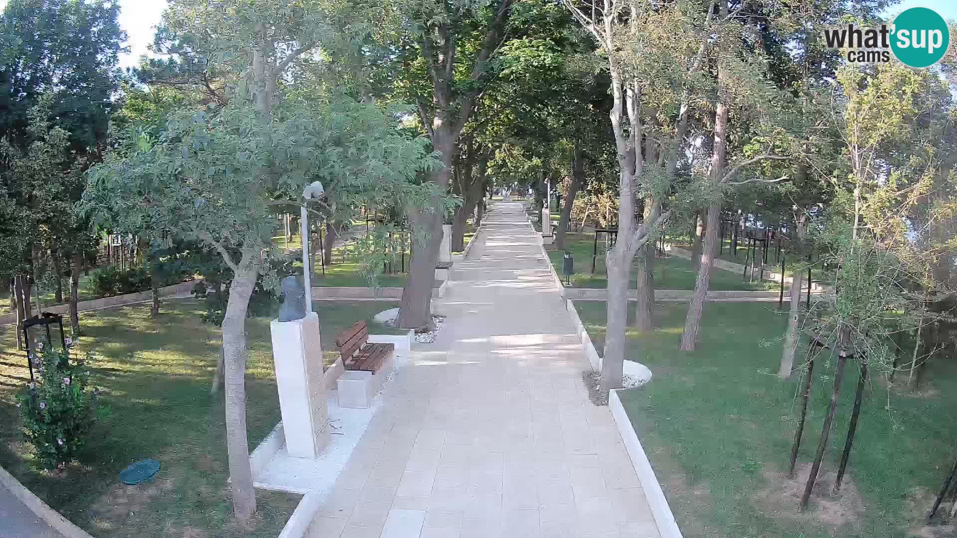 Webcam Parco degli Scrittori Segna – Diretta sul Mare