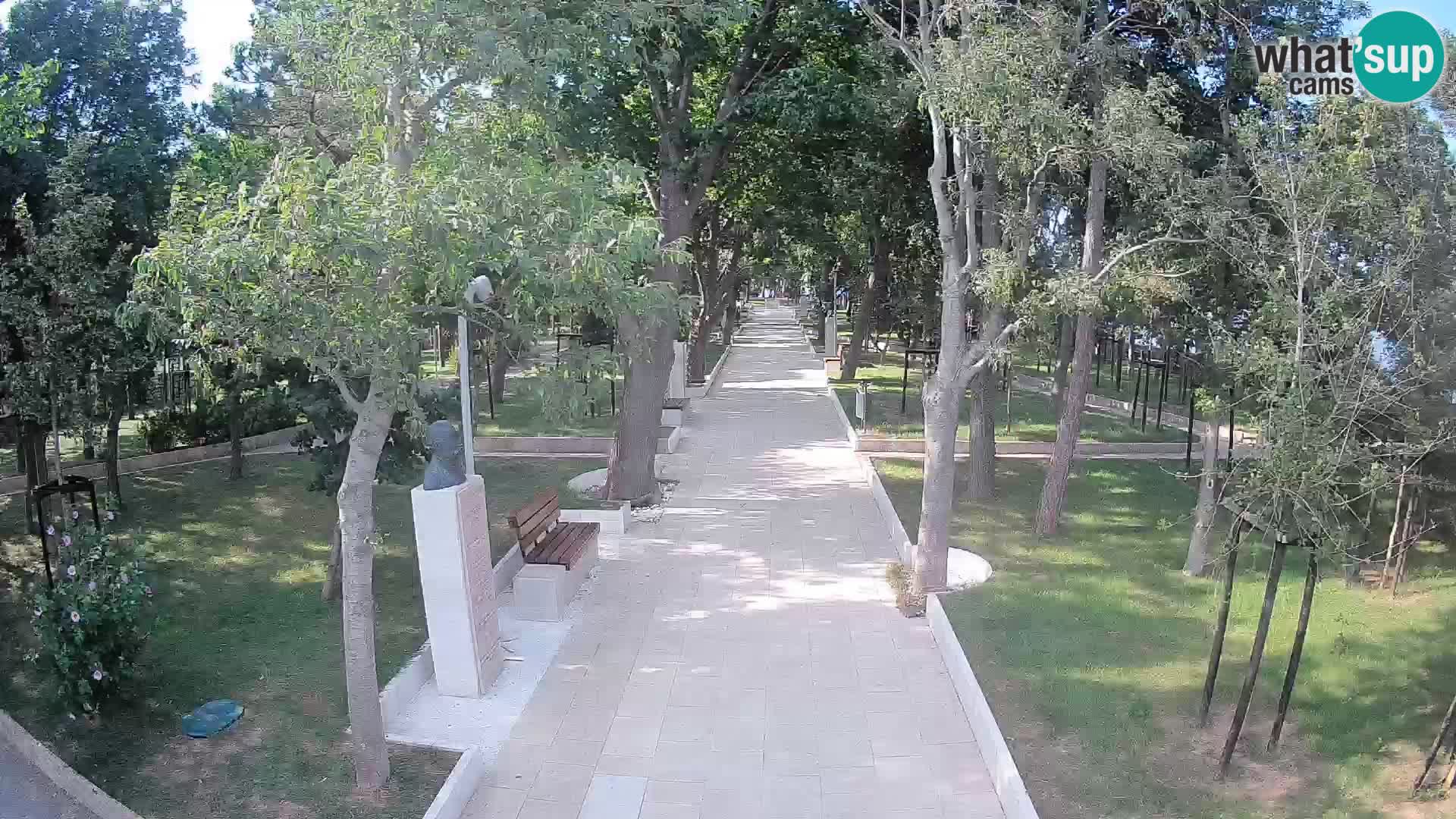 Webcam Parco degli Scrittori Segna – Diretta sul Mare