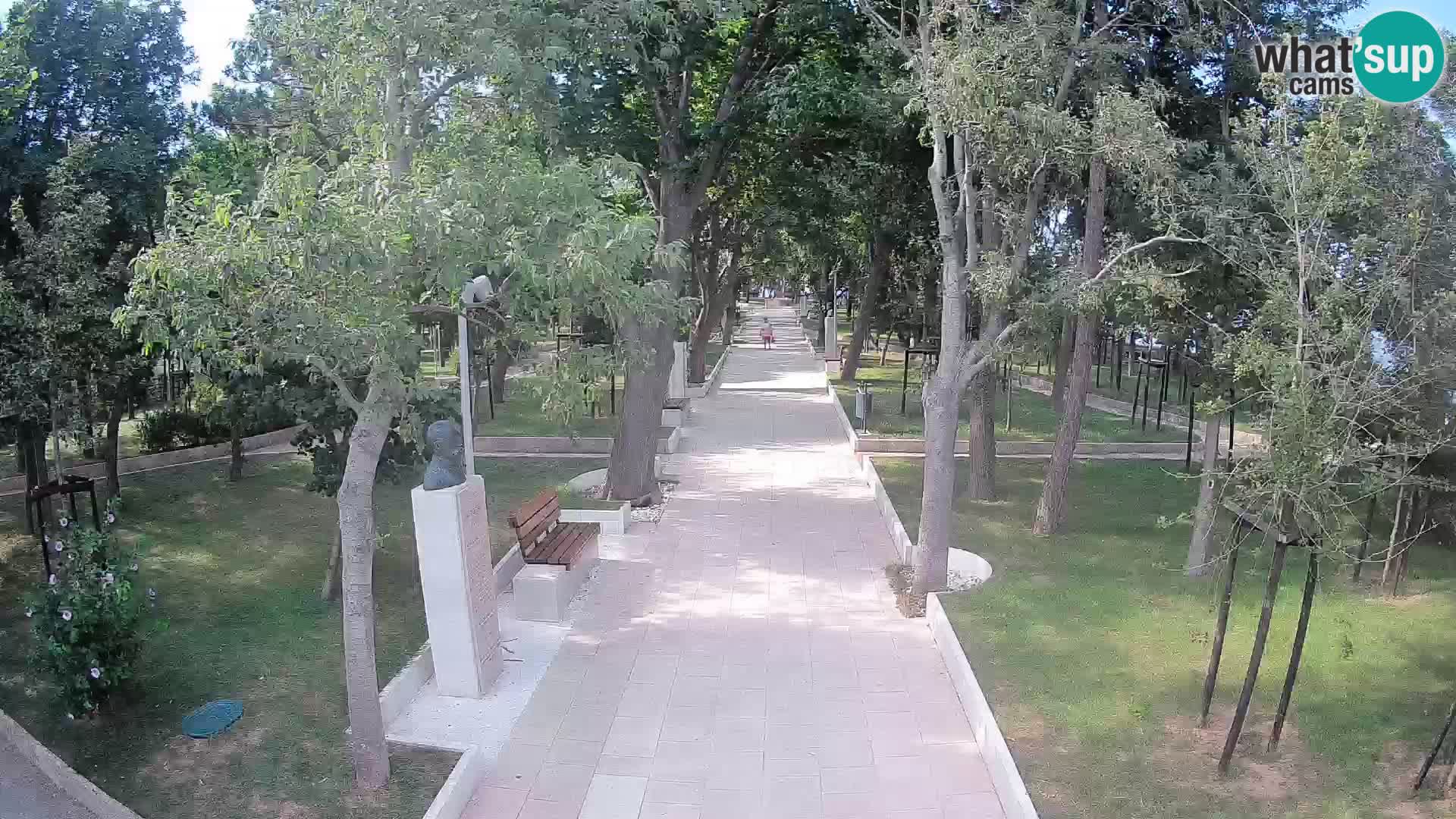Webcam Schriftstellerpark Senj – Live am Meer