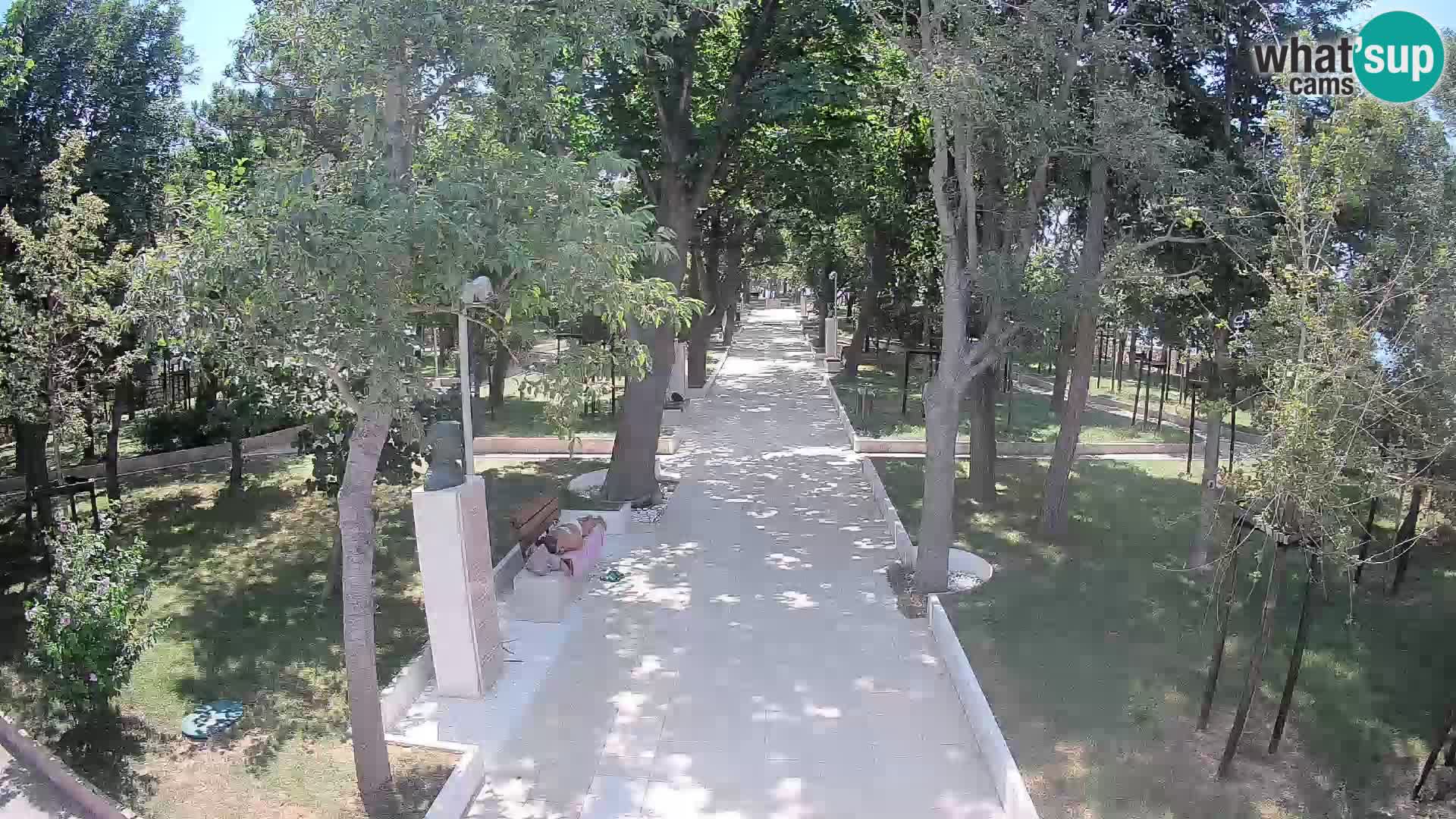 Webcam Parco degli Scrittori Segna – Diretta sul Mare