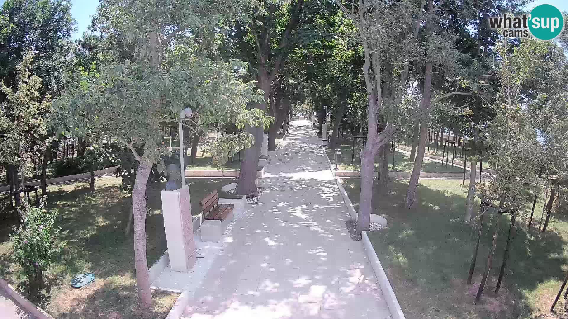 Webcam Parco degli Scrittori Segna – Diretta sul Mare