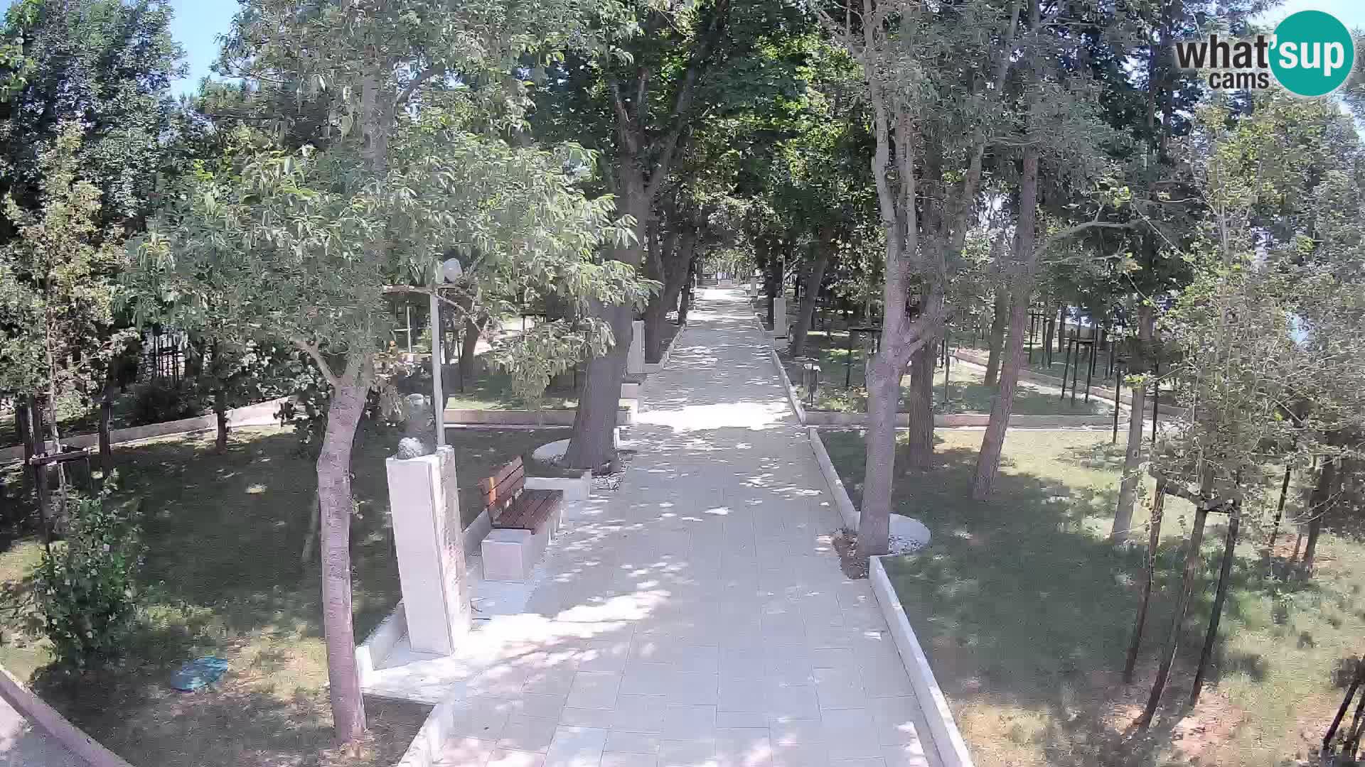 Webcam Parco degli Scrittori Segna – Diretta sul Mare