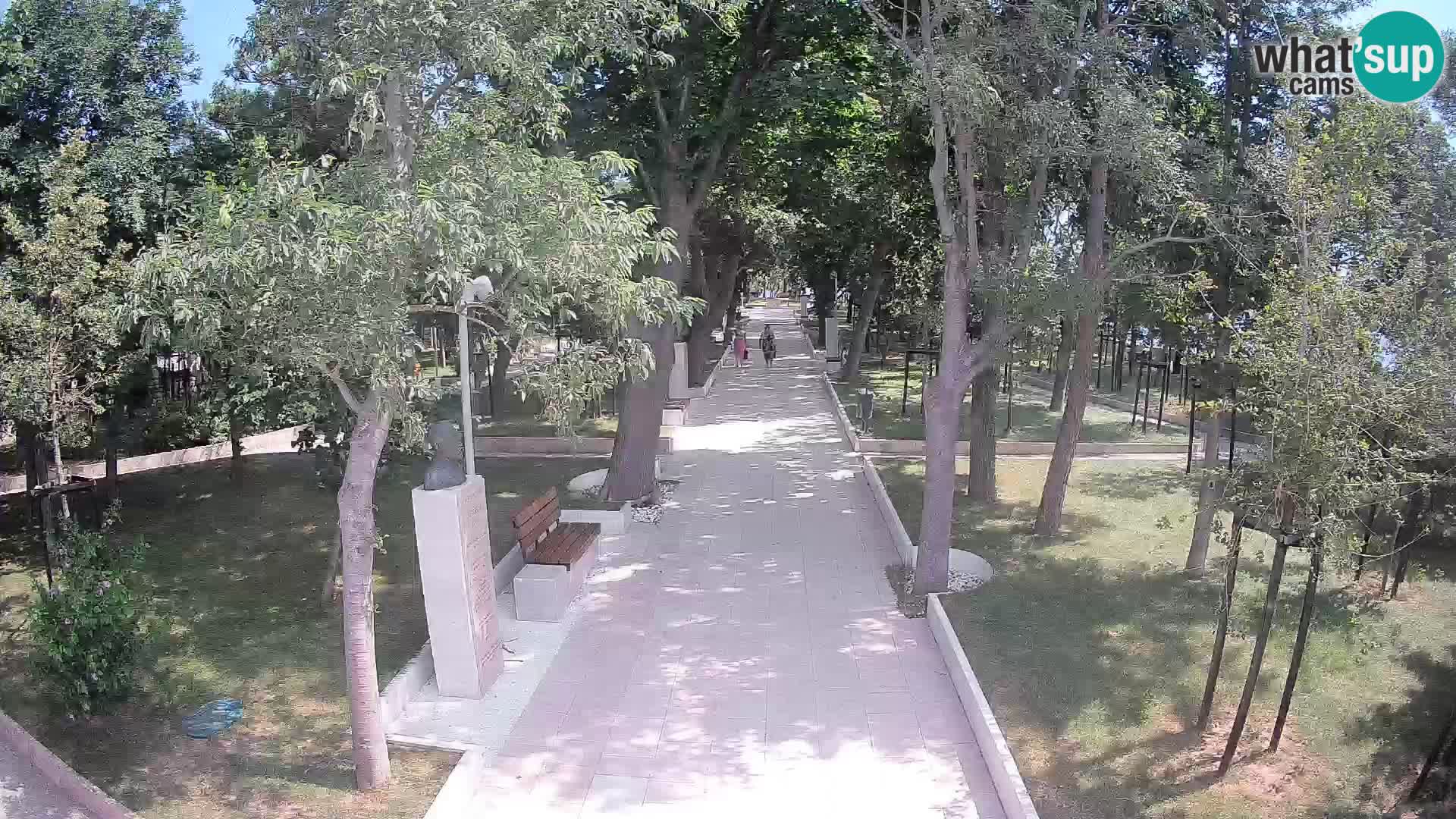 Writers’ Park Webcam Senj – Live by the Sea