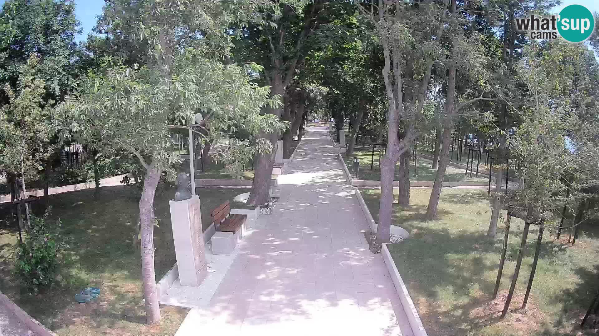 Writers’ Park Webcam Senj – Live by the Sea
