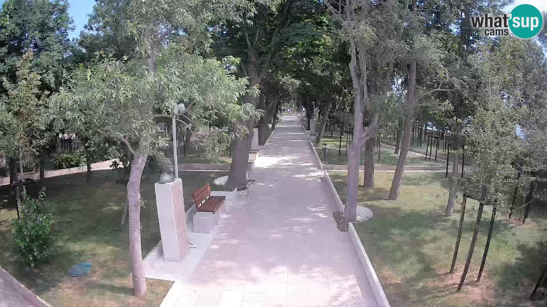 Writers’ Park Webcam Senj – Live by the Sea