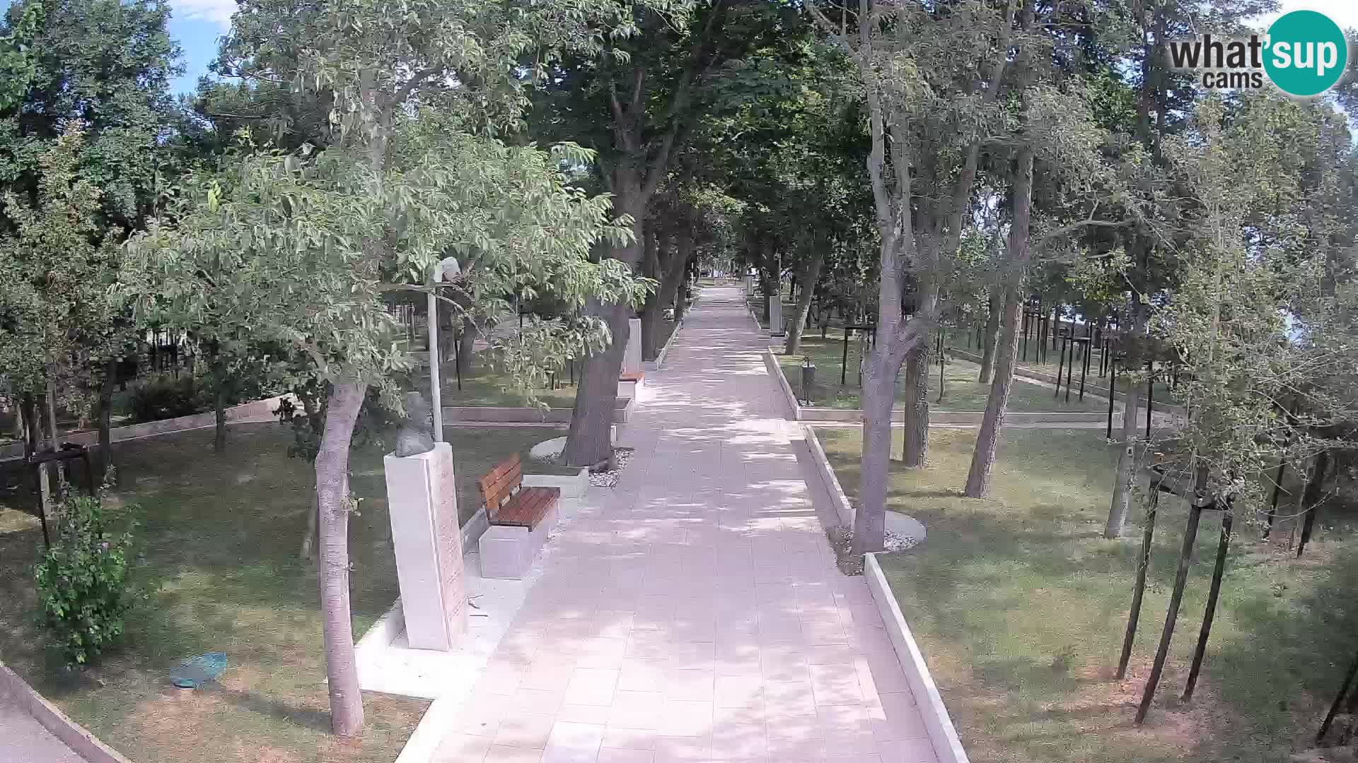 Webcam Schriftstellerpark Senj – Live am Meer
