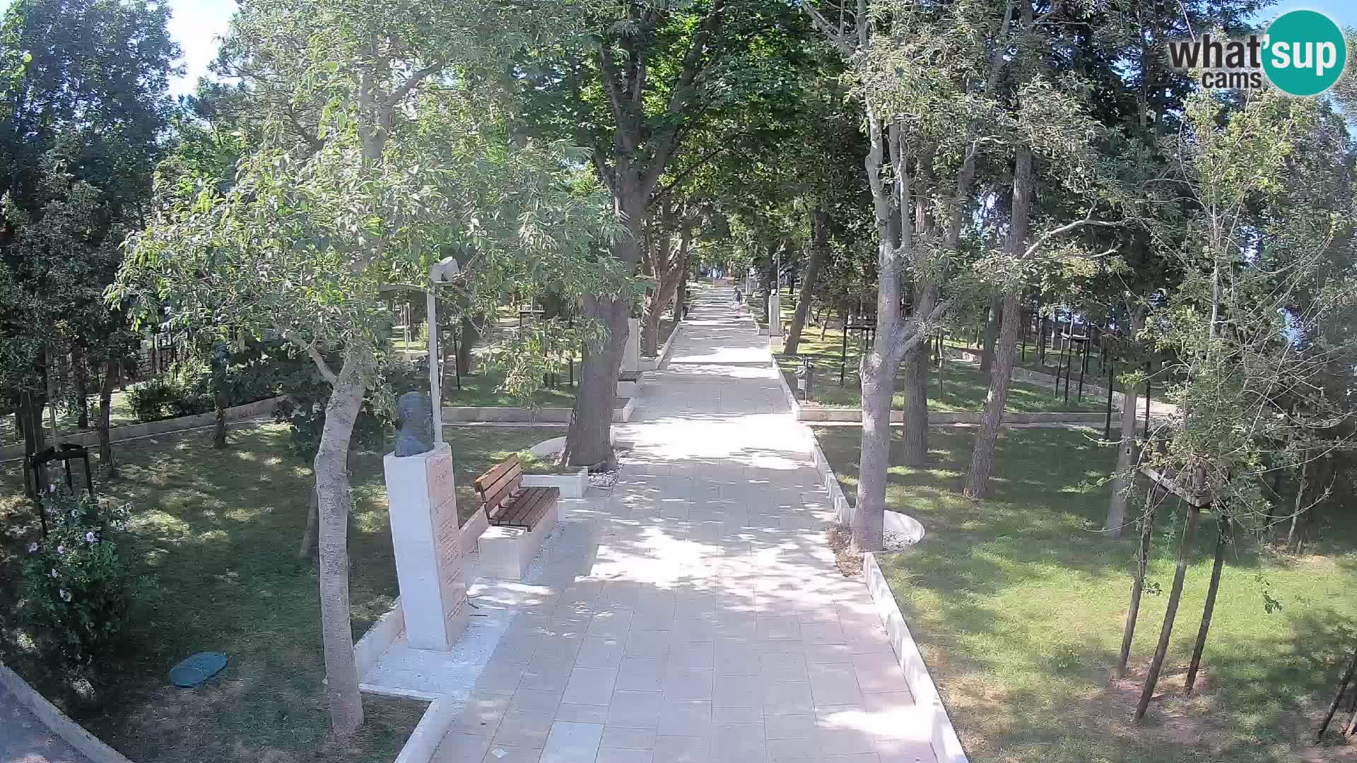 Webcam Schriftstellerpark Senj – Live am Meer