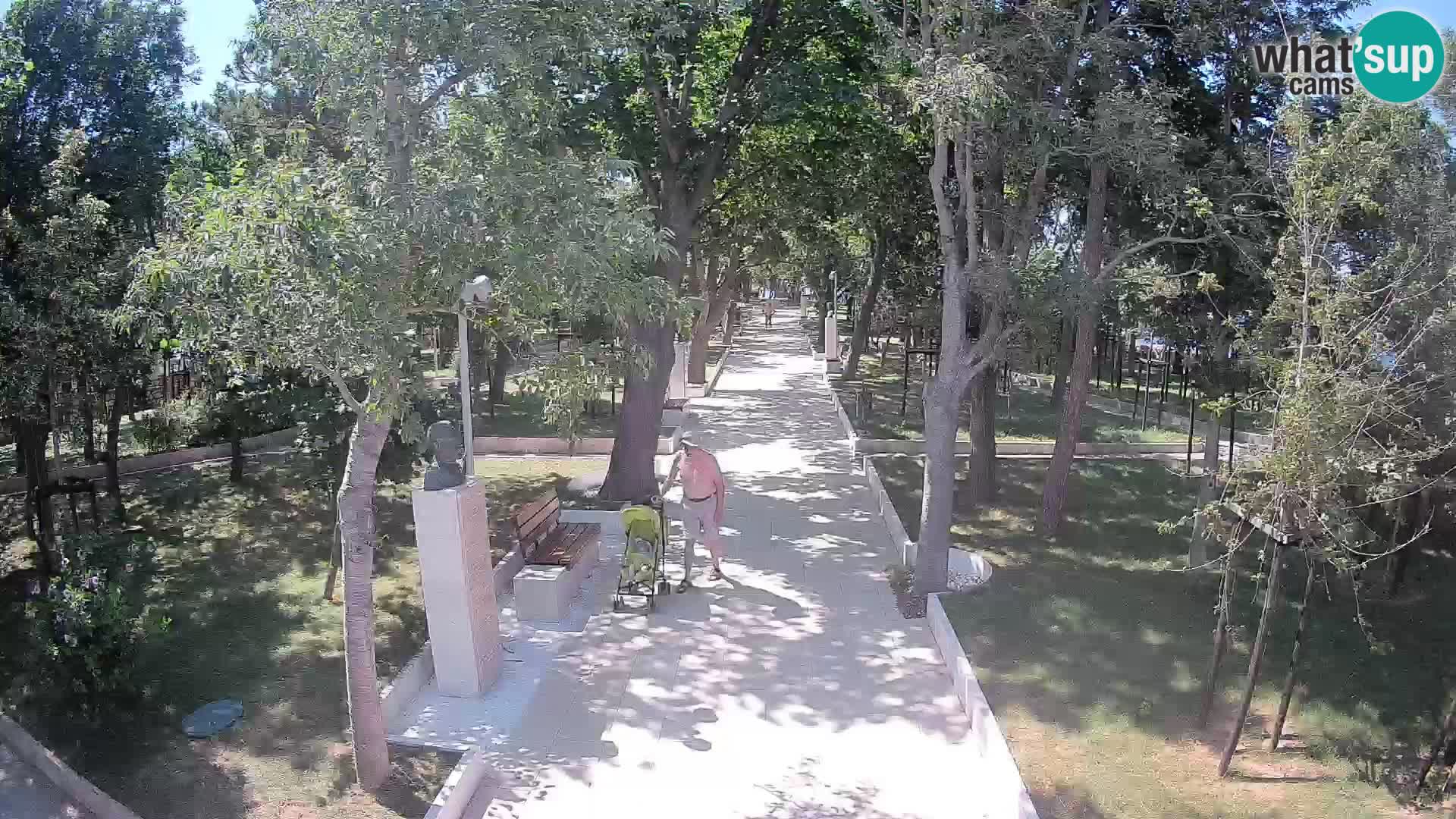 Webcam Schriftstellerpark Senj – Live am Meer
