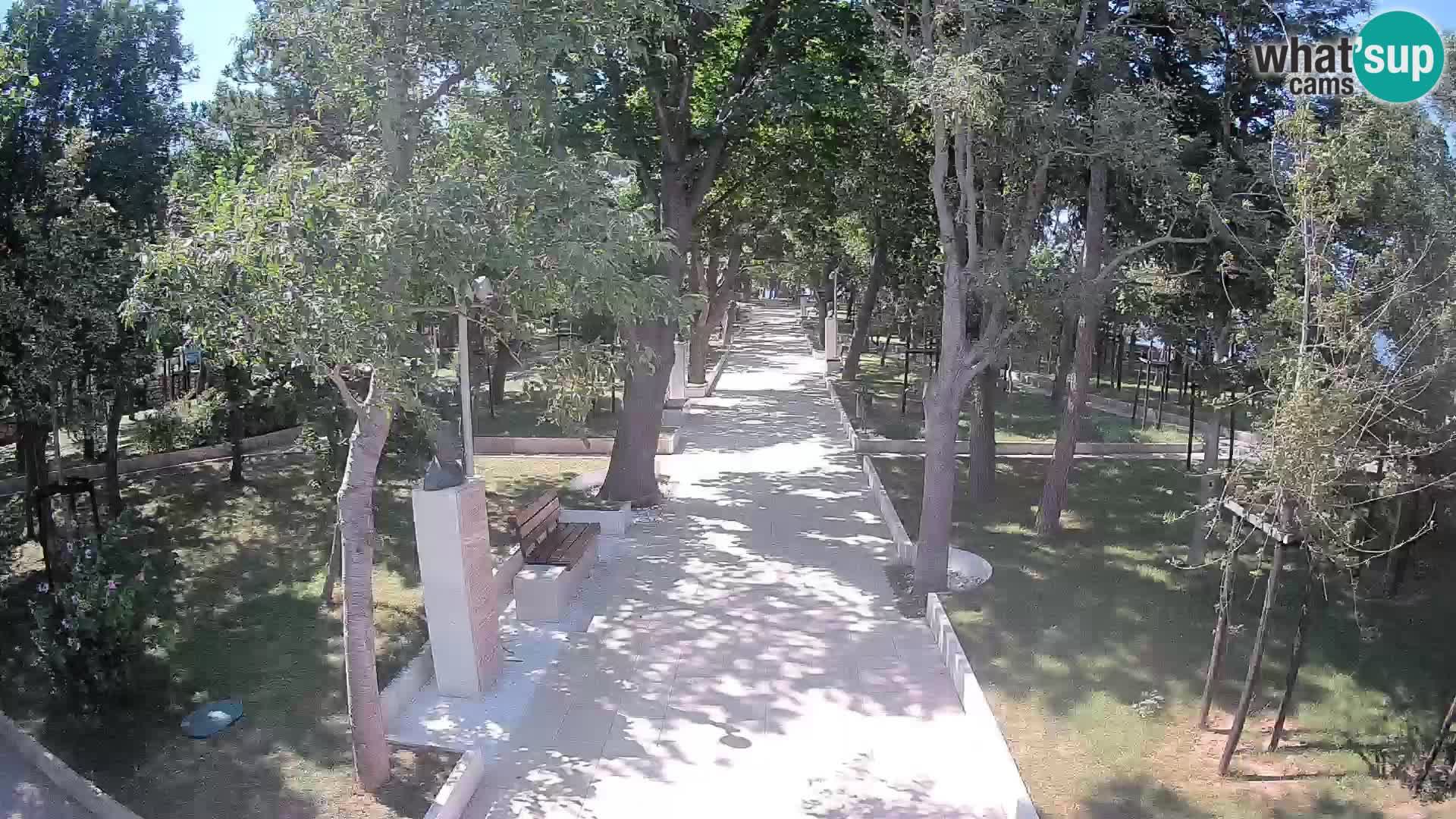 Webcam Parco degli Scrittori Segna – Diretta sul Mare