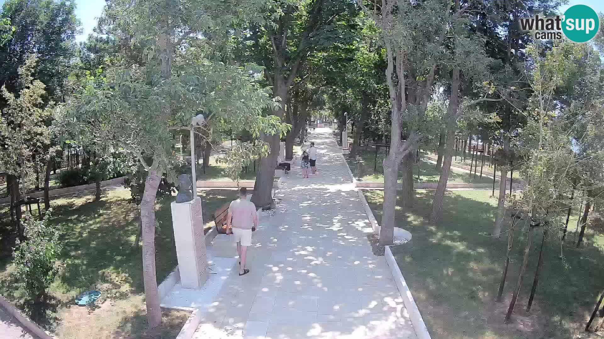 Webcam Parco degli Scrittori Segna – Diretta sul Mare