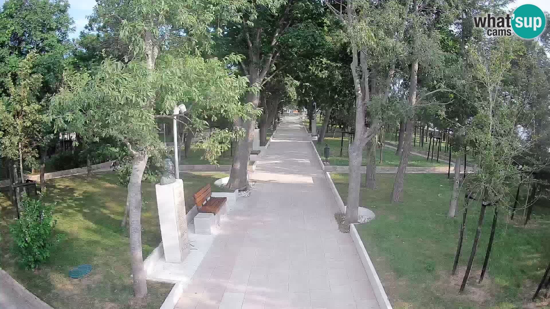 Webcam Parco degli Scrittori Segna – Diretta sul Mare