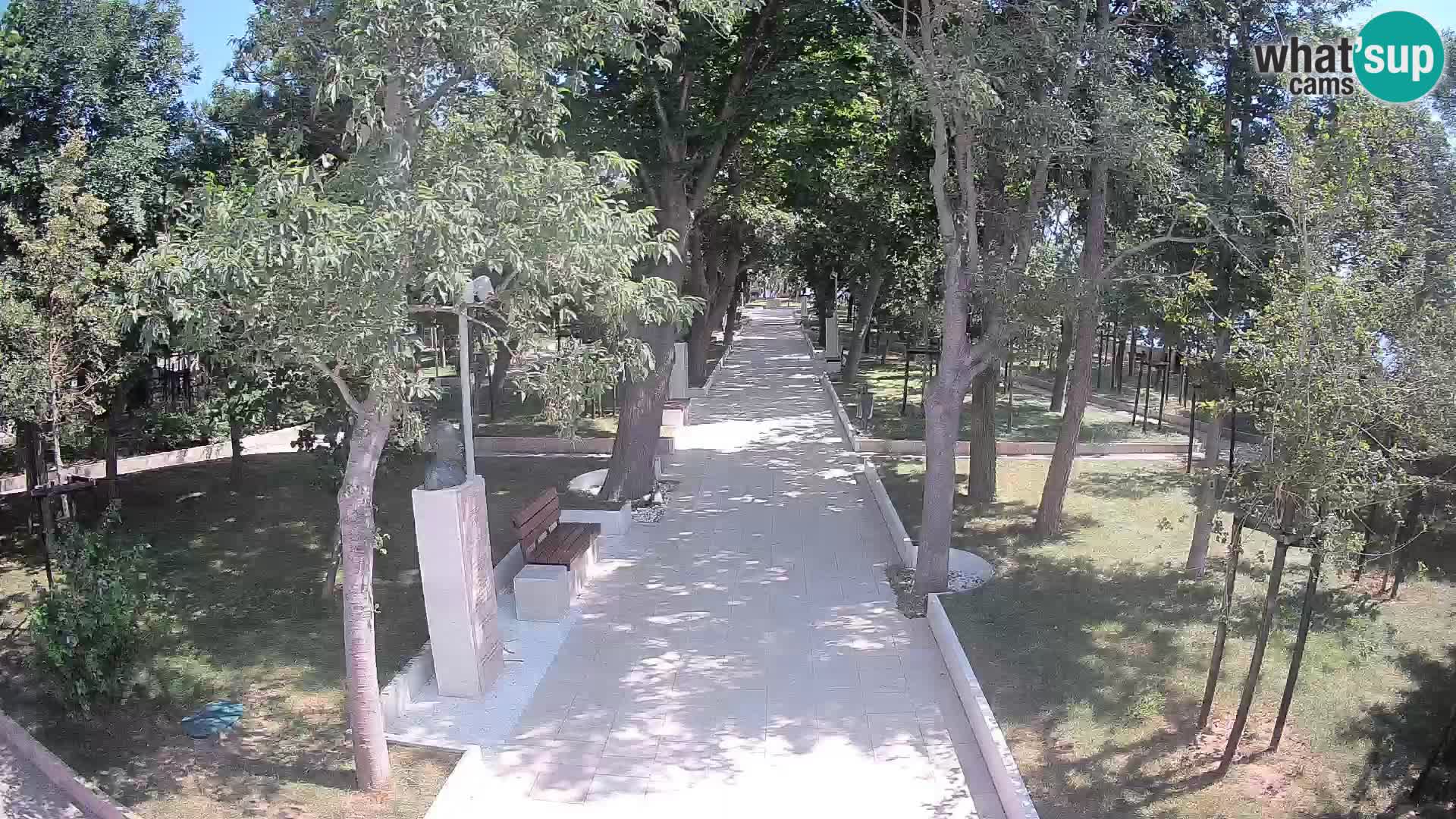 Webcam Schriftstellerpark Senj – Live am Meer