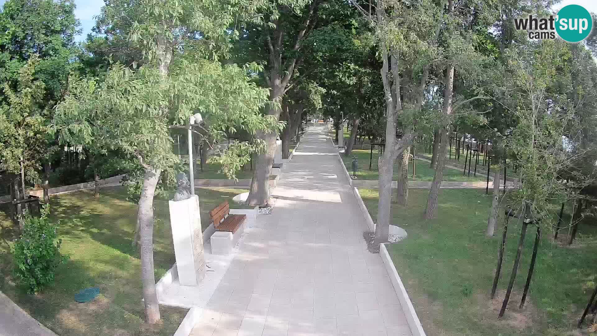 Webcam Parco degli Scrittori Segna – Diretta sul Mare