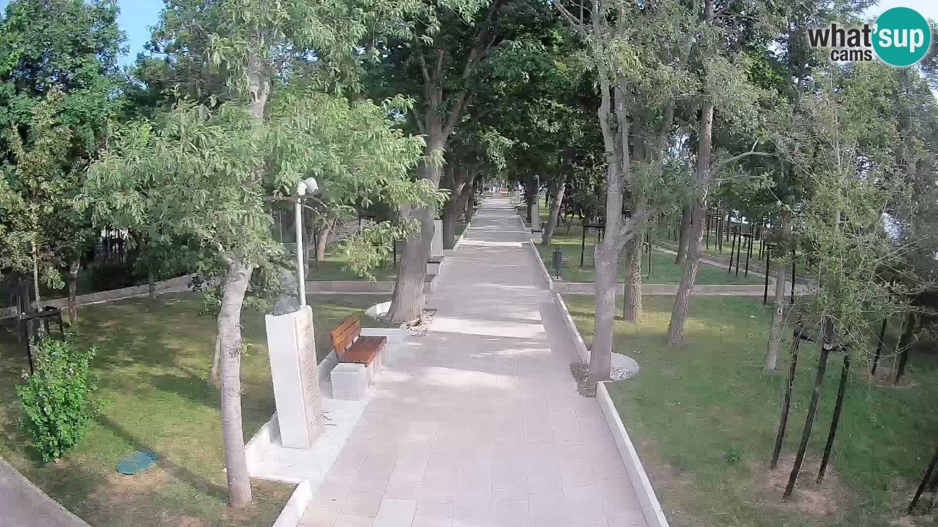 Webcam Parco degli Scrittori Segna – Diretta sul Mare