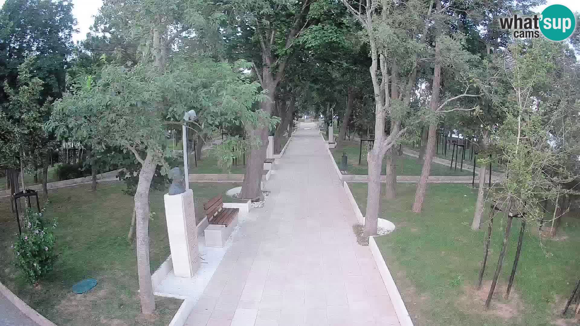 Writers’ Park Webcam Senj – Live by the Sea