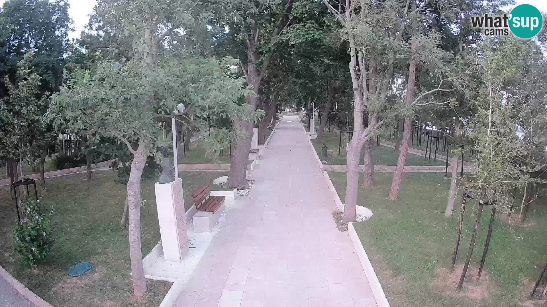 Webcam Parco degli Scrittori Segna – Diretta sul Mare
