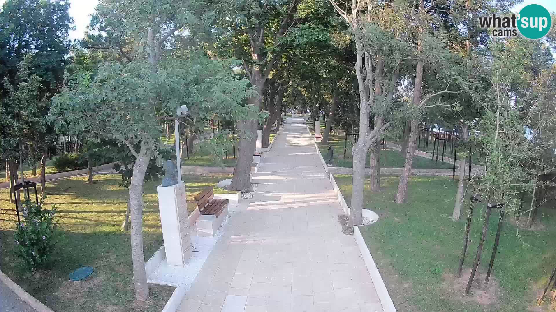Webcam Schriftstellerpark Senj – Live am Meer