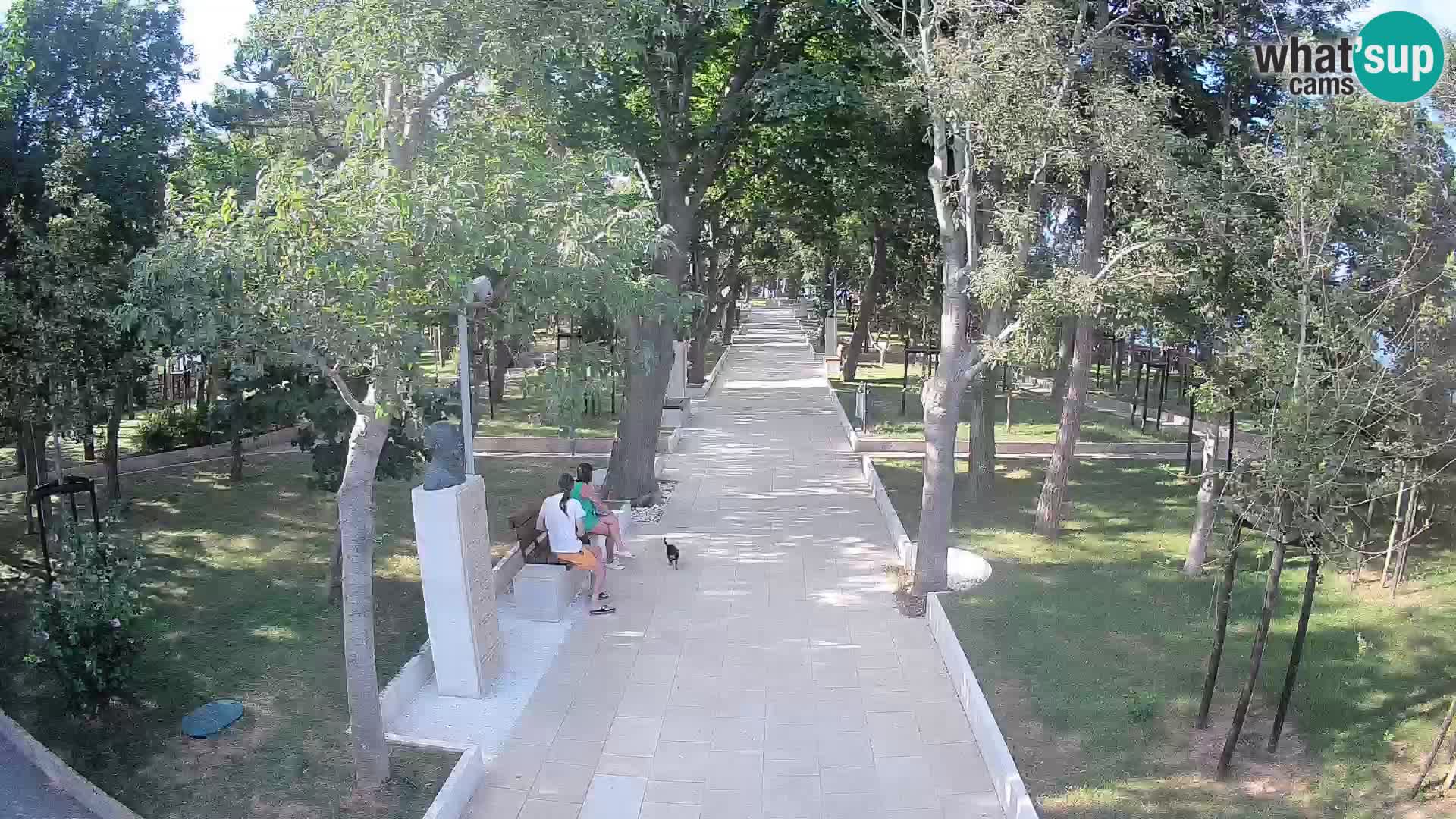 Writers’ Park Webcam Senj – Live by the Sea