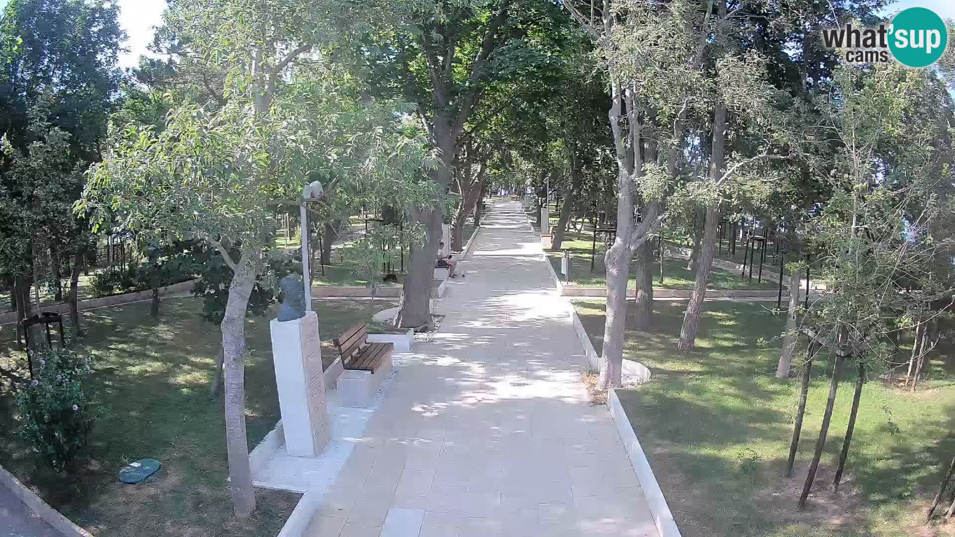 Webcam Parco degli Scrittori Segna – Diretta sul Mare