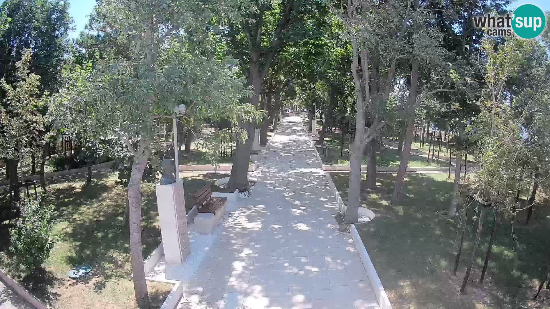 Webcam Parco degli Scrittori Segna – Diretta sul Mare
