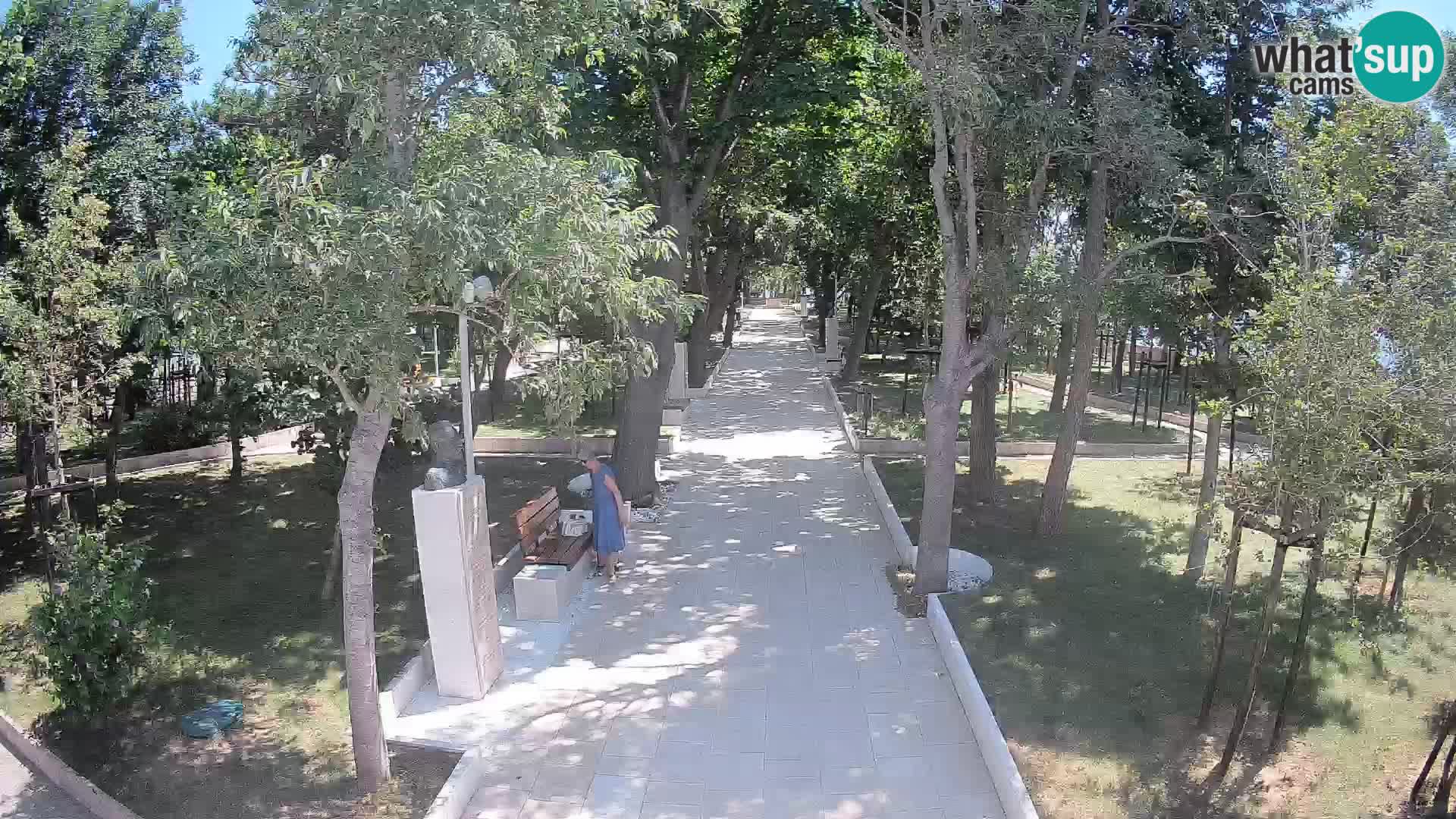 Webcam Parco degli Scrittori Segna – Diretta sul Mare