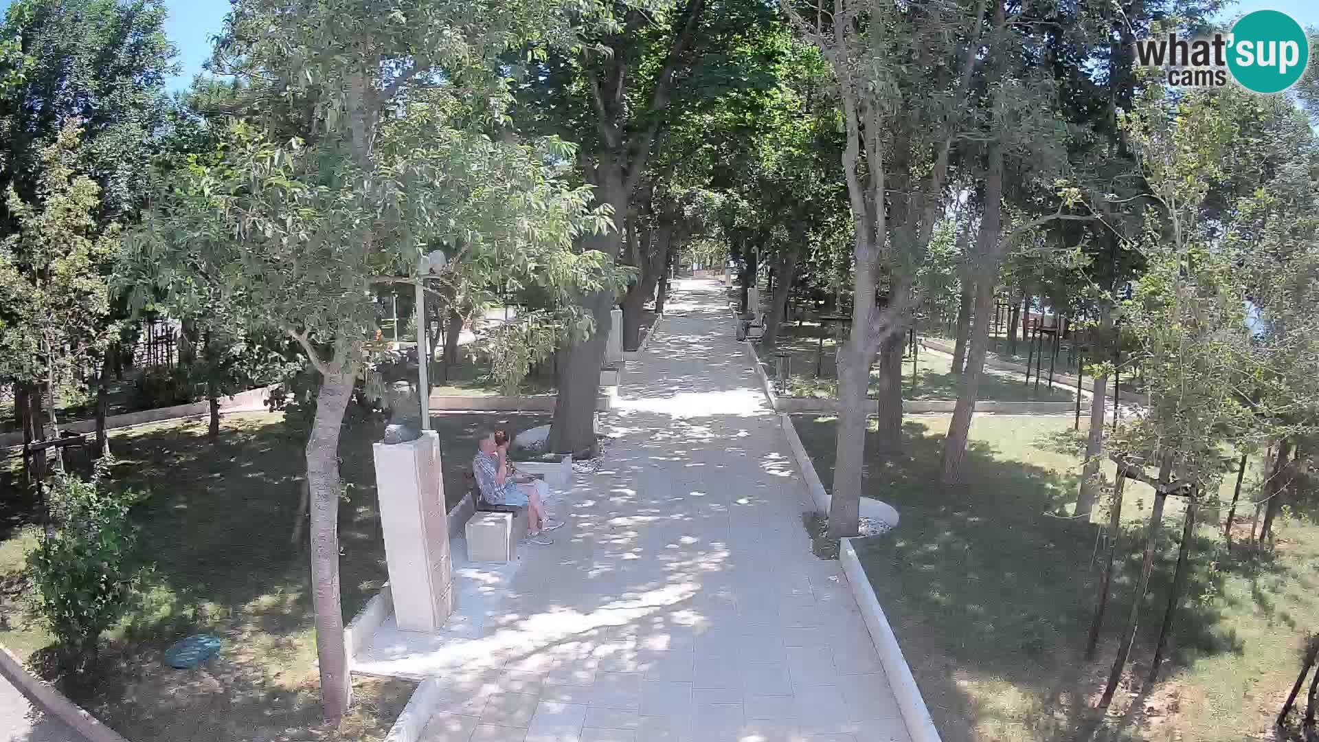 Webcam Parco degli Scrittori Segna – Diretta sul Mare