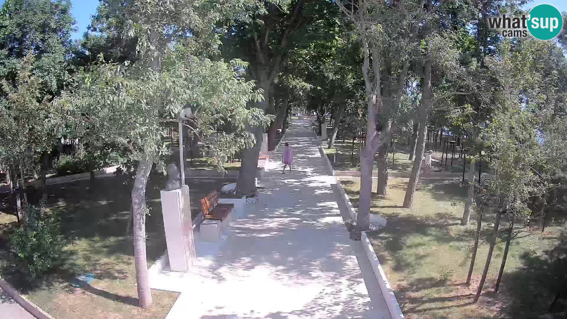 Webcam Parco degli Scrittori Segna – Diretta sul Mare