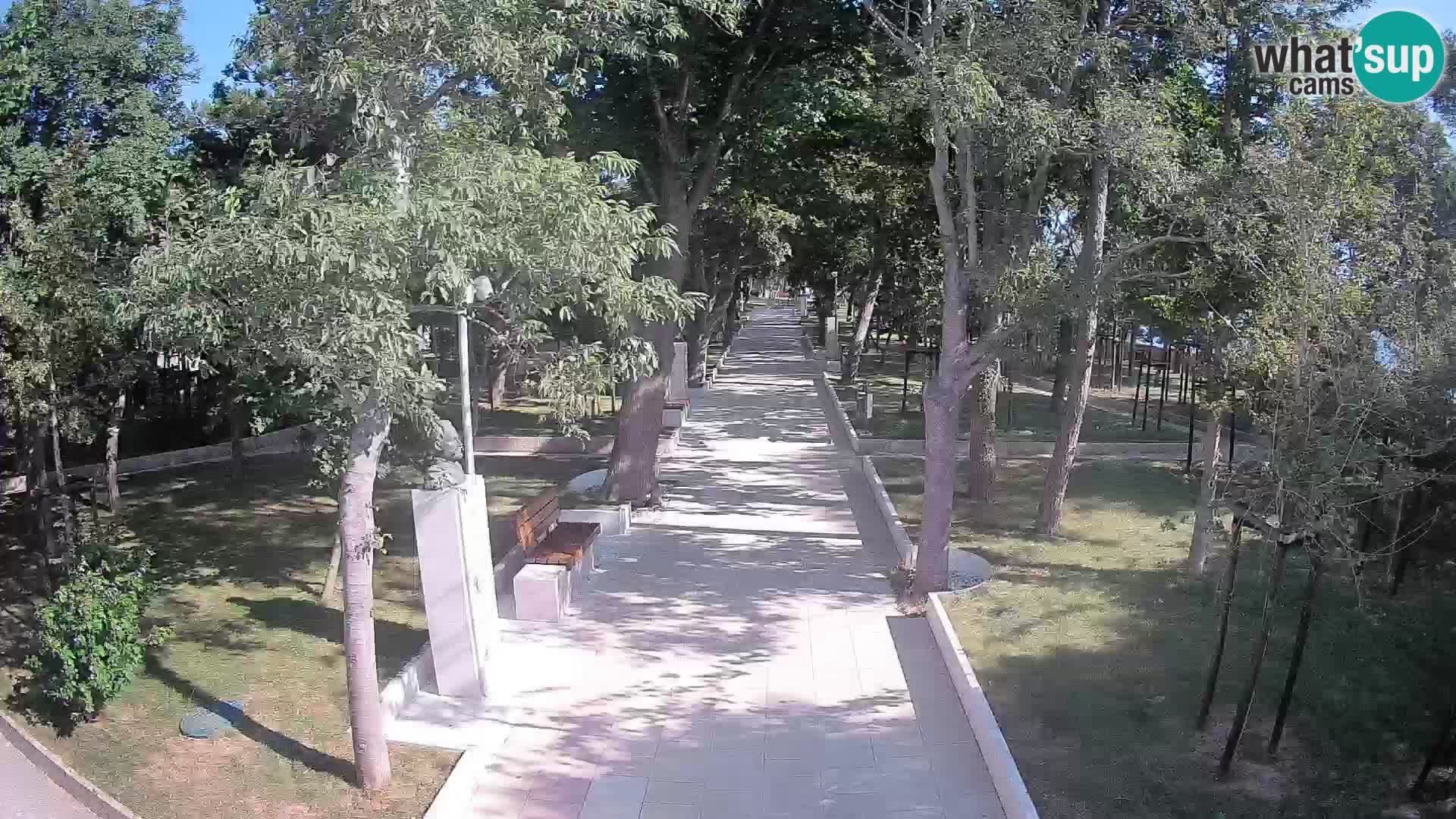 Webcam Parco degli Scrittori Segna – Diretta sul Mare