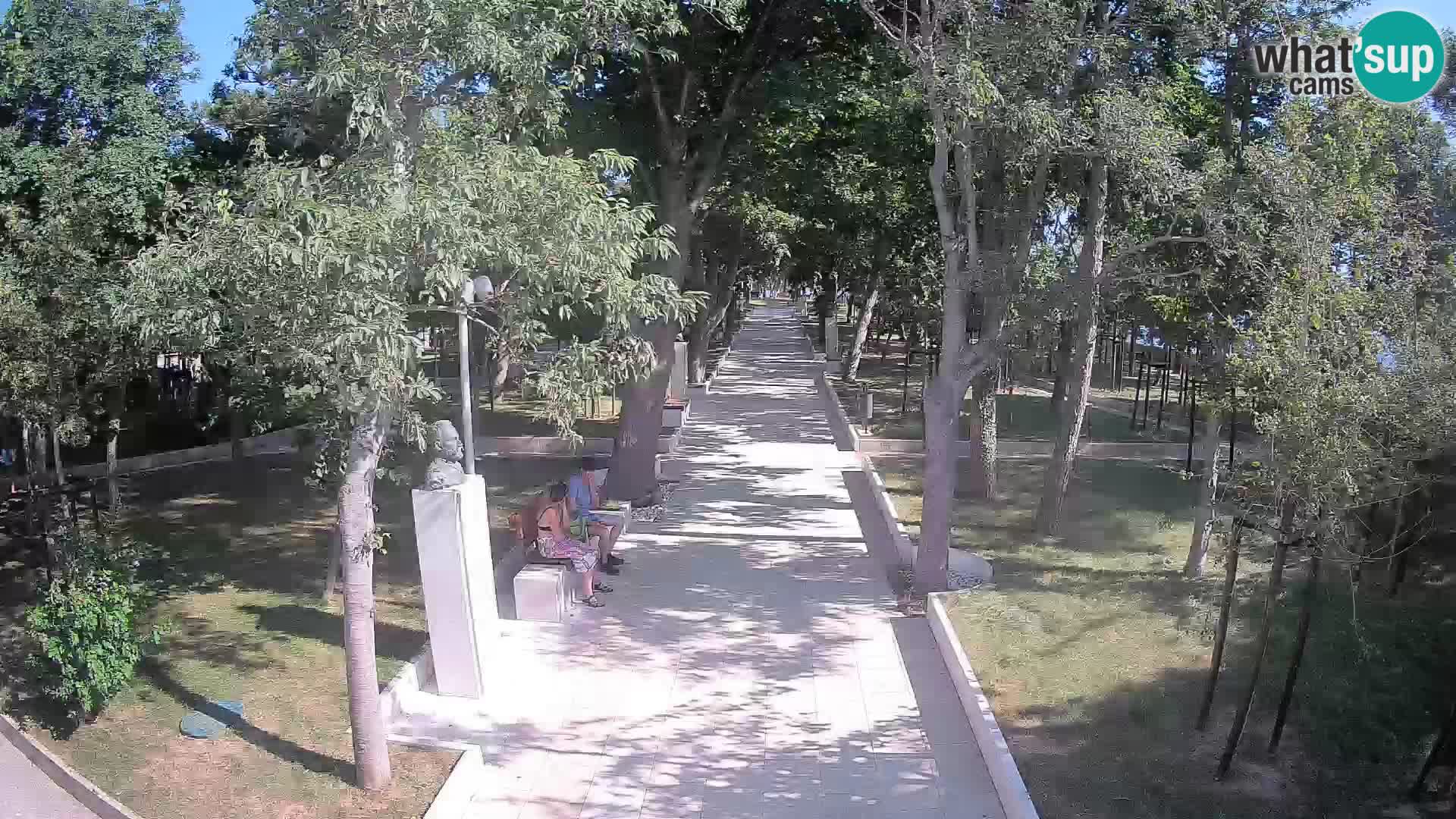 Webcam Parco degli Scrittori Segna – Diretta sul Mare