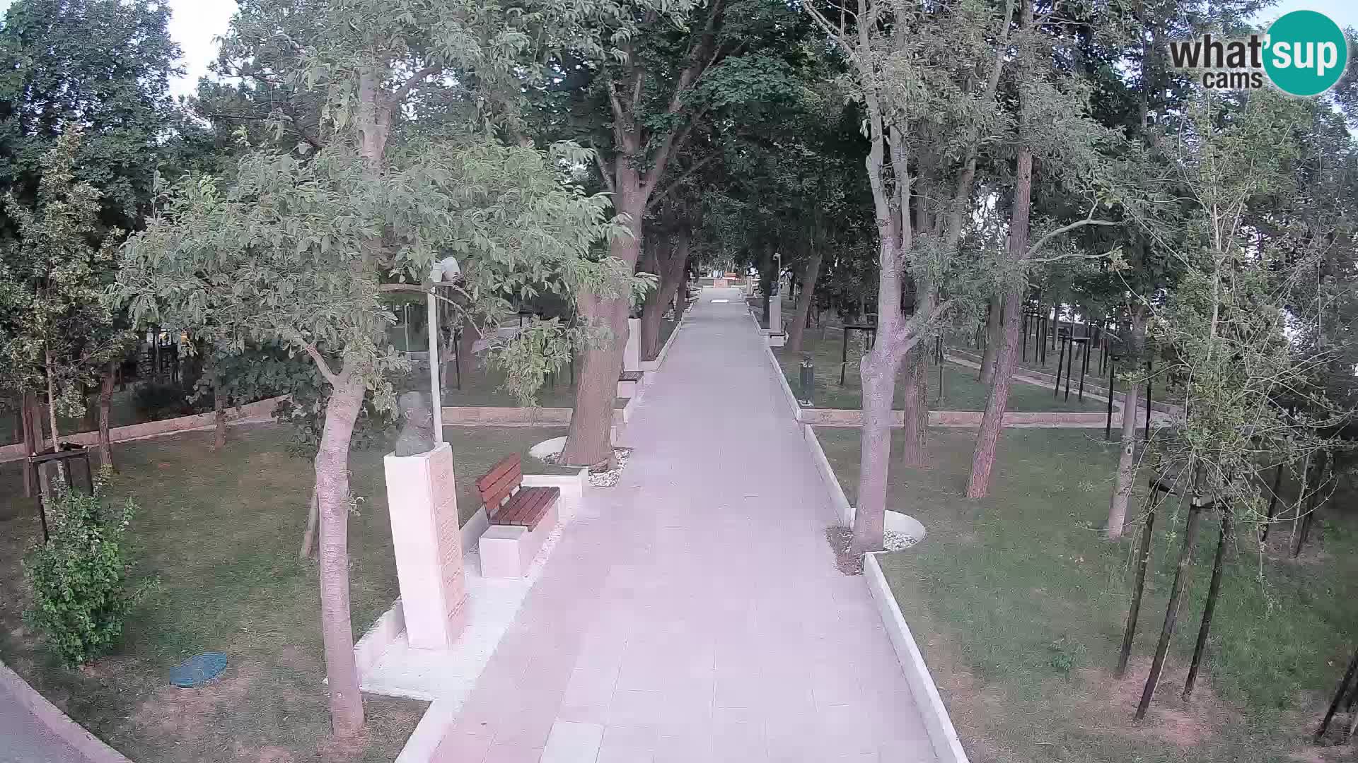 Webcam Parco degli Scrittori Segna – Diretta sul Mare