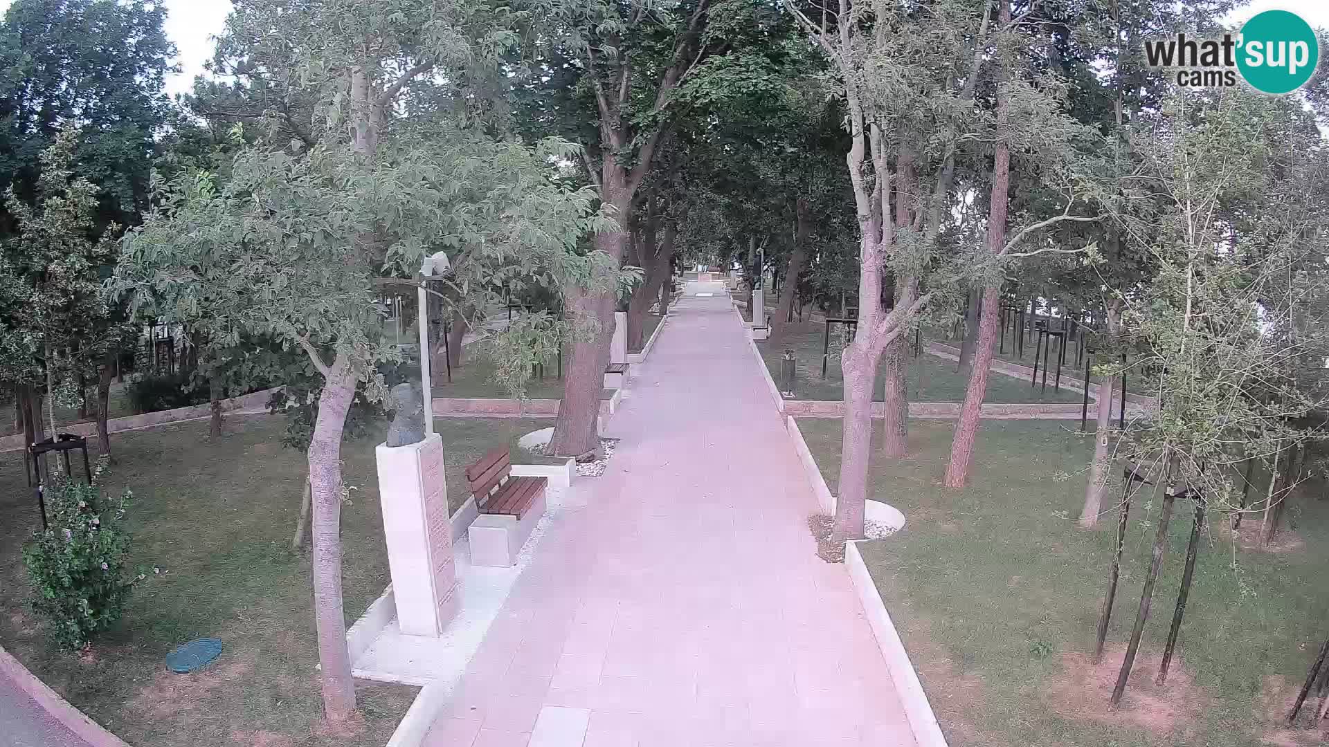 Webcam Parco degli Scrittori Segna – Diretta sul Mare