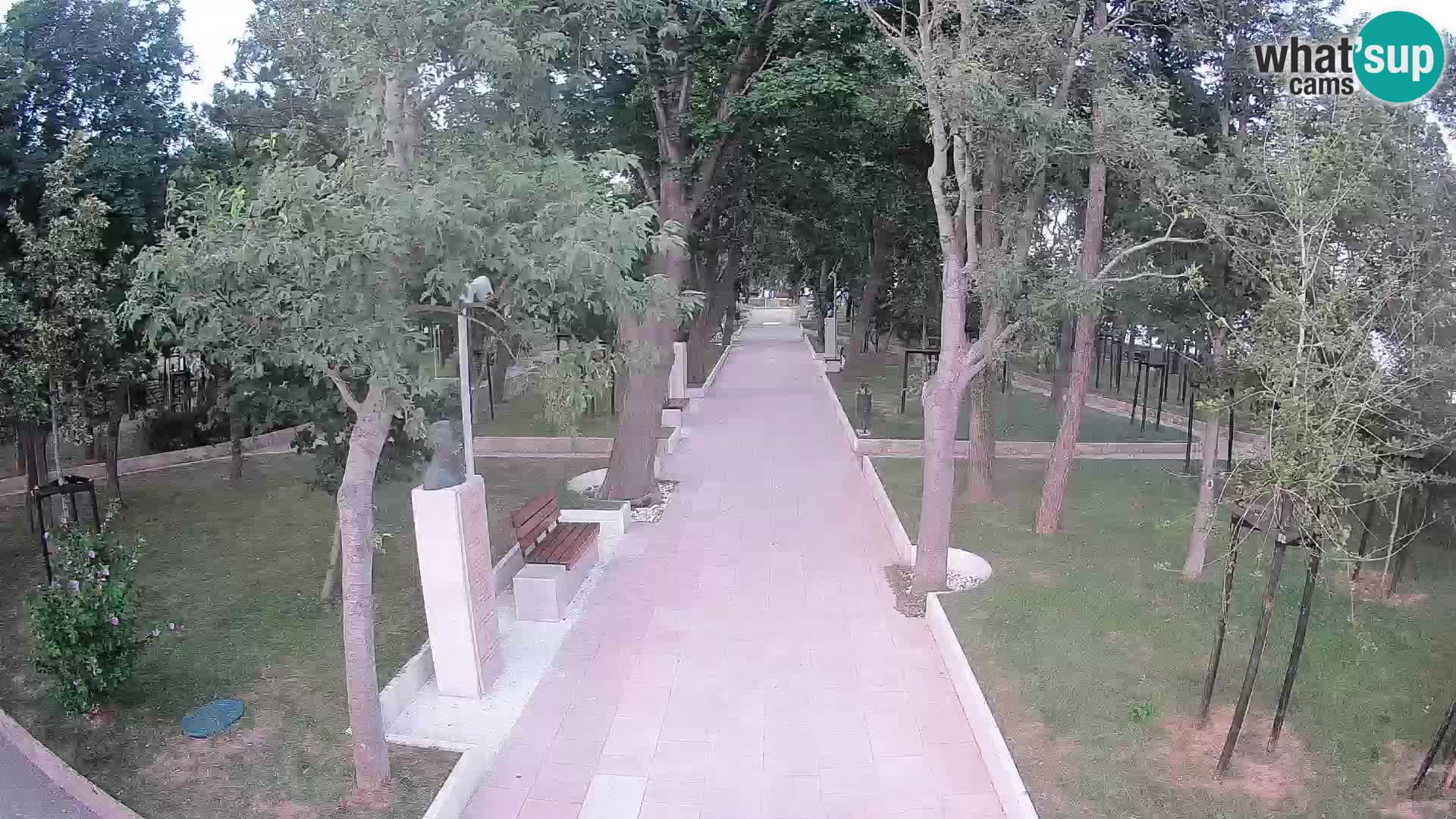 Webcam Schriftstellerpark Senj – Live am Meer
