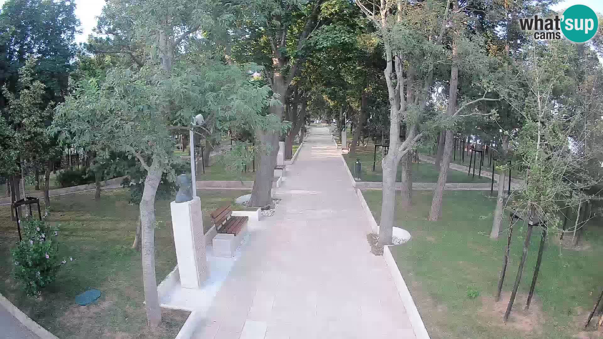 Webcam Schriftstellerpark Senj – Live am Meer