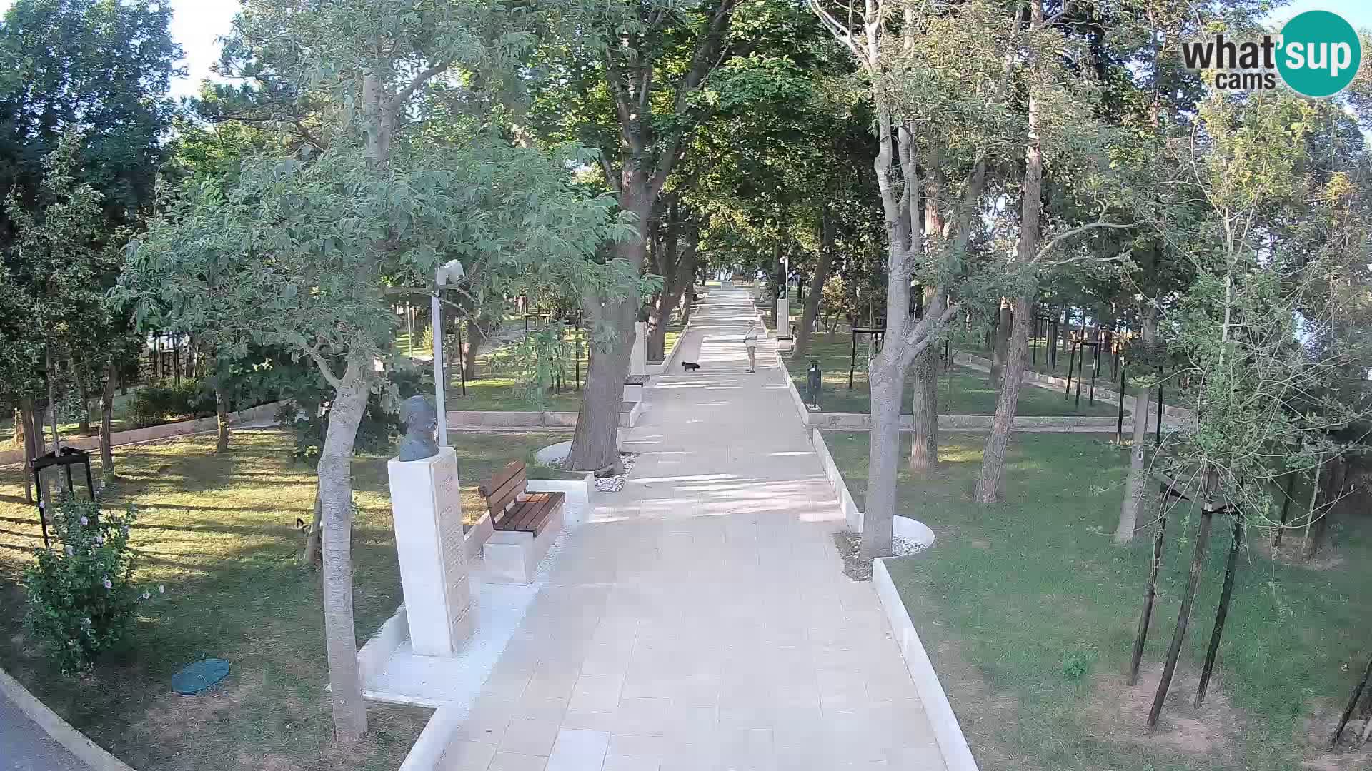 Webcam Schriftstellerpark Senj – Live am Meer