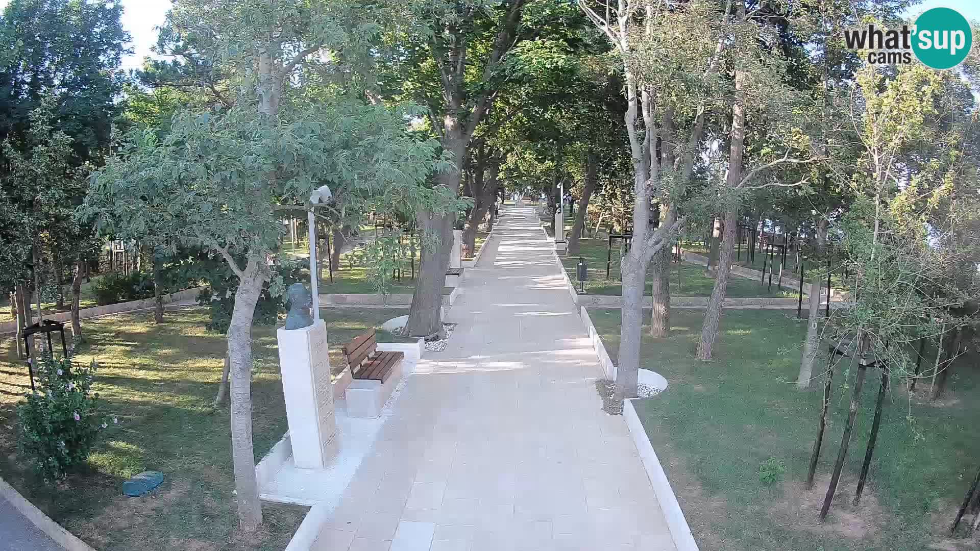 Webcam Parco degli Scrittori Segna – Diretta sul Mare