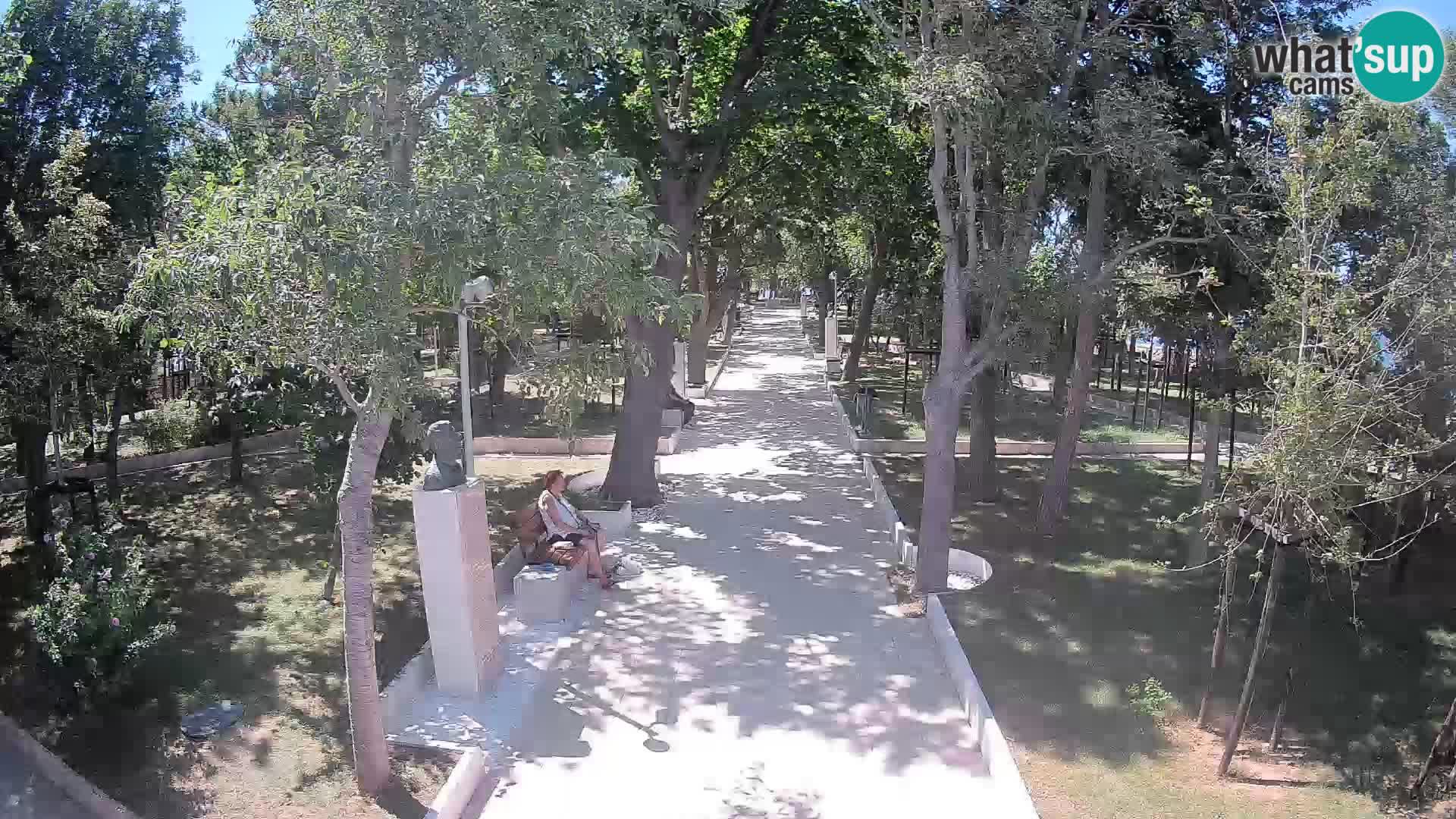 Webcam Schriftstellerpark Senj – Live am Meer