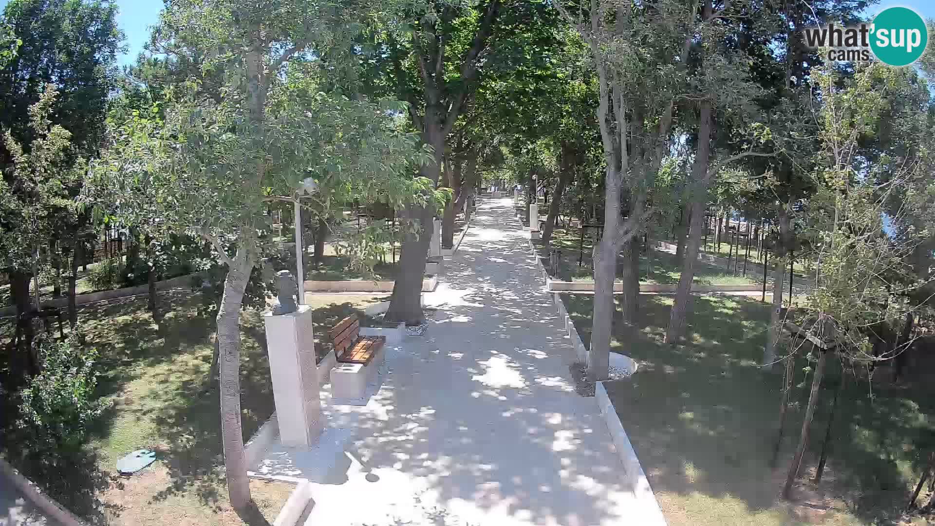 Webcam Parco degli Scrittori Segna – Diretta sul Mare