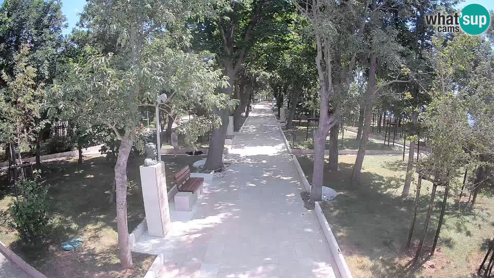 Webcam Parco degli Scrittori Segna – Diretta sul Mare