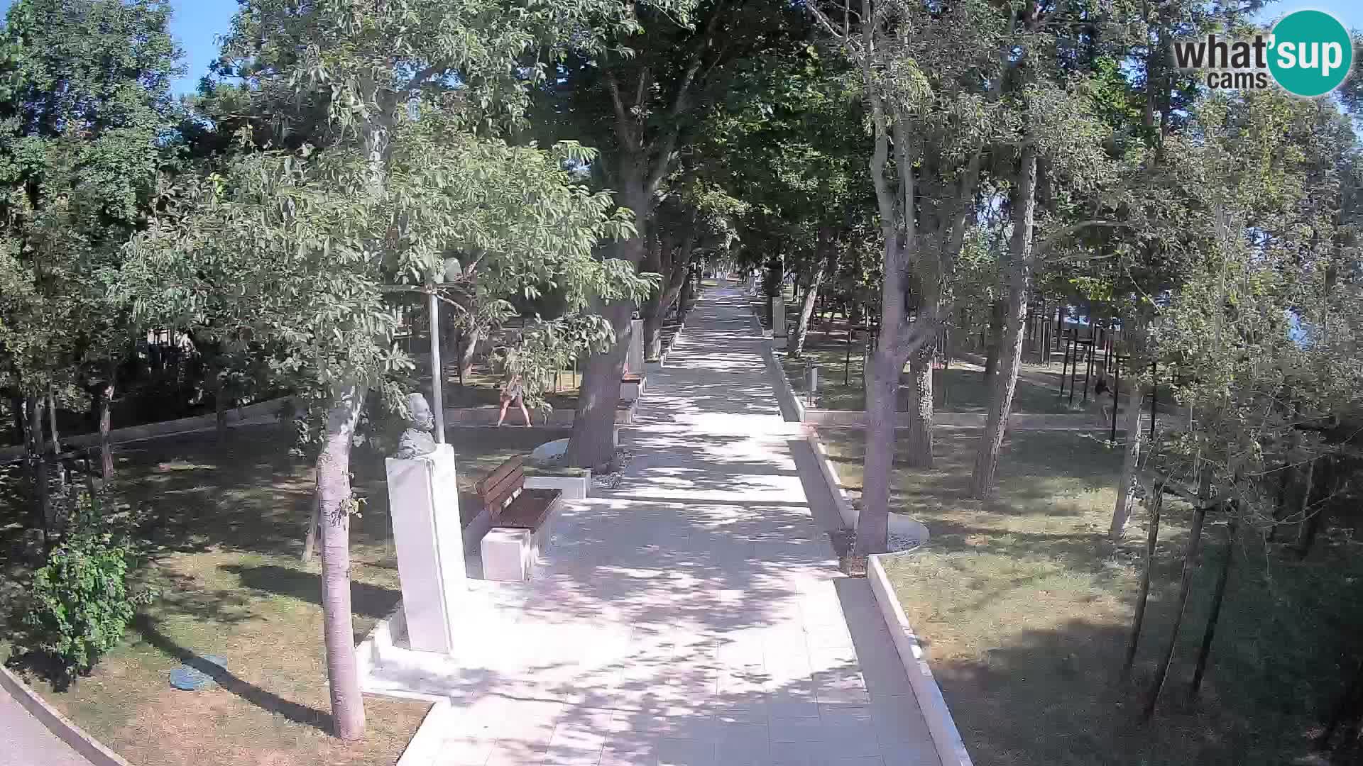 Webcam Parco degli Scrittori Segna – Diretta sul Mare