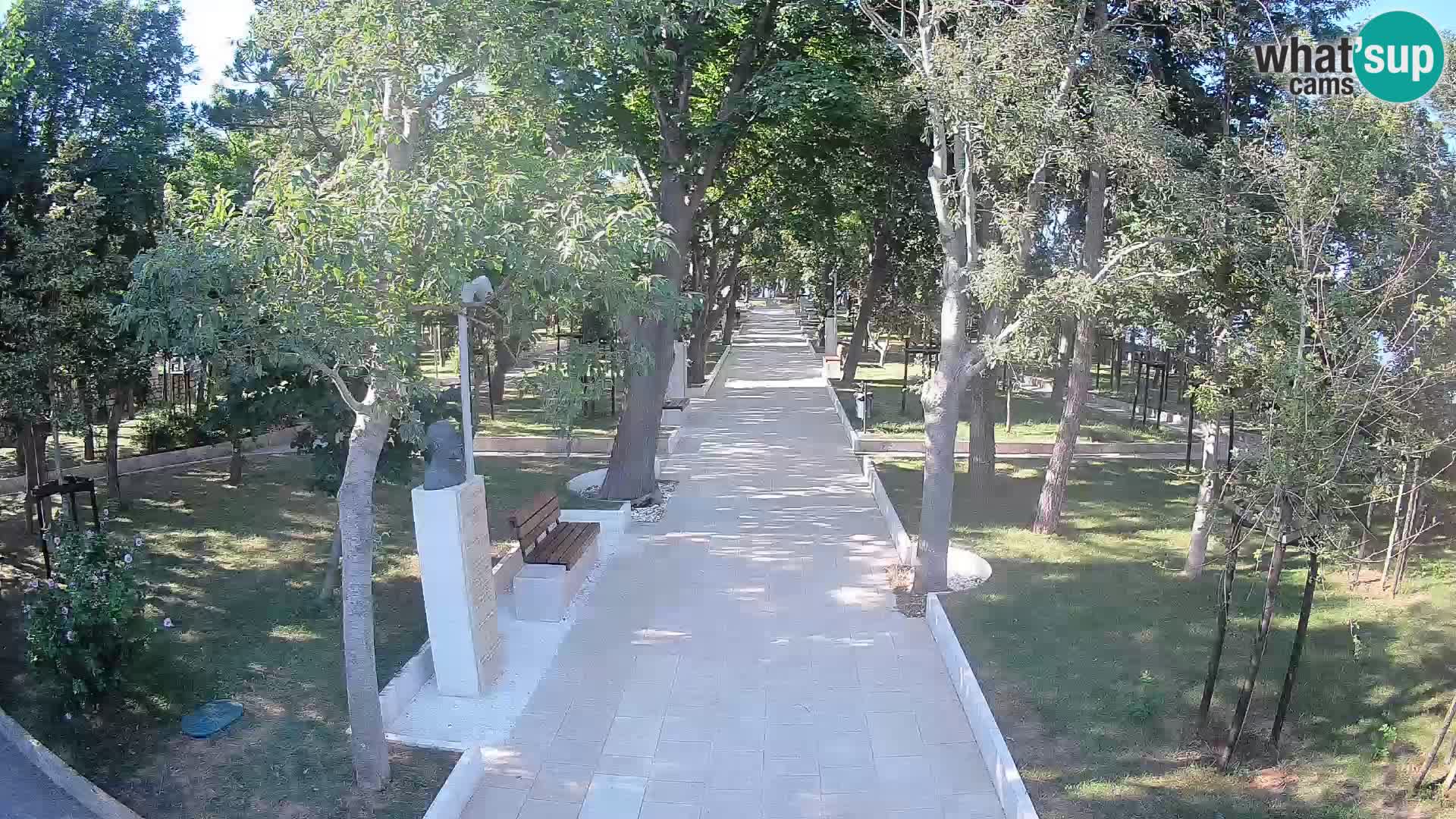 Webcam Parco degli Scrittori Segna – Diretta sul Mare