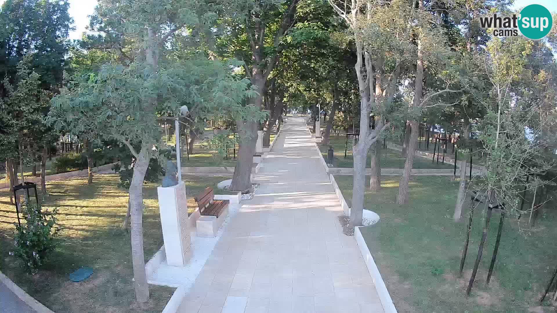 Webcam Parco degli Scrittori Segna – Diretta sul Mare