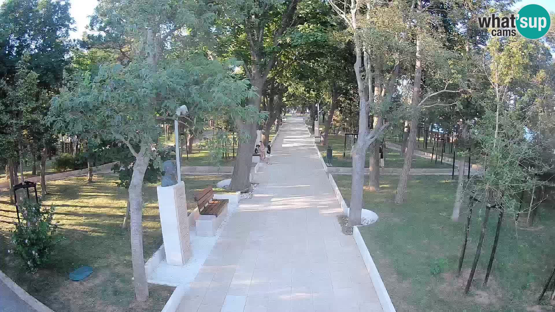 Webcam Parco degli Scrittori Segna – Diretta sul Mare