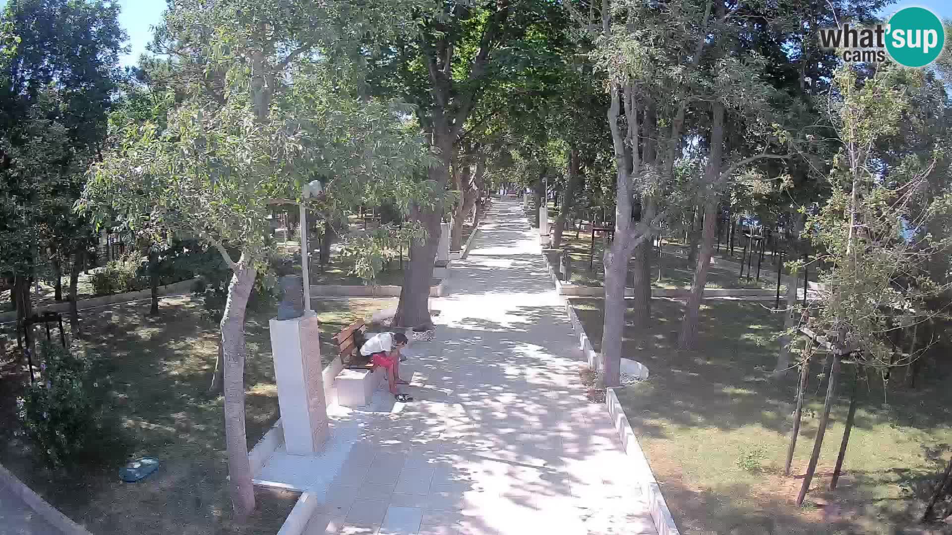 Webcam Parco degli Scrittori Segna – Diretta sul Mare