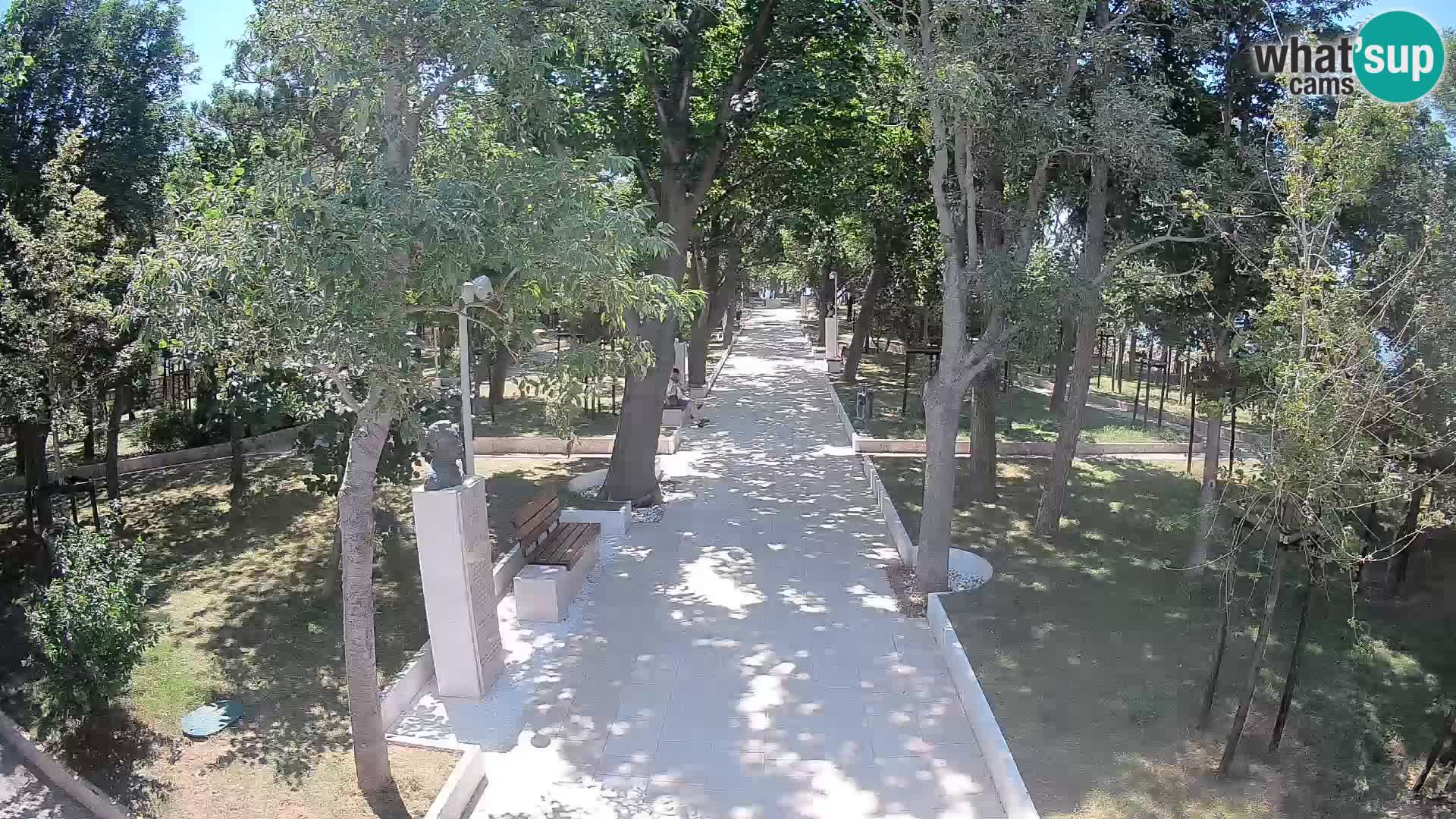 Webcam Parco degli Scrittori Segna – Diretta sul Mare