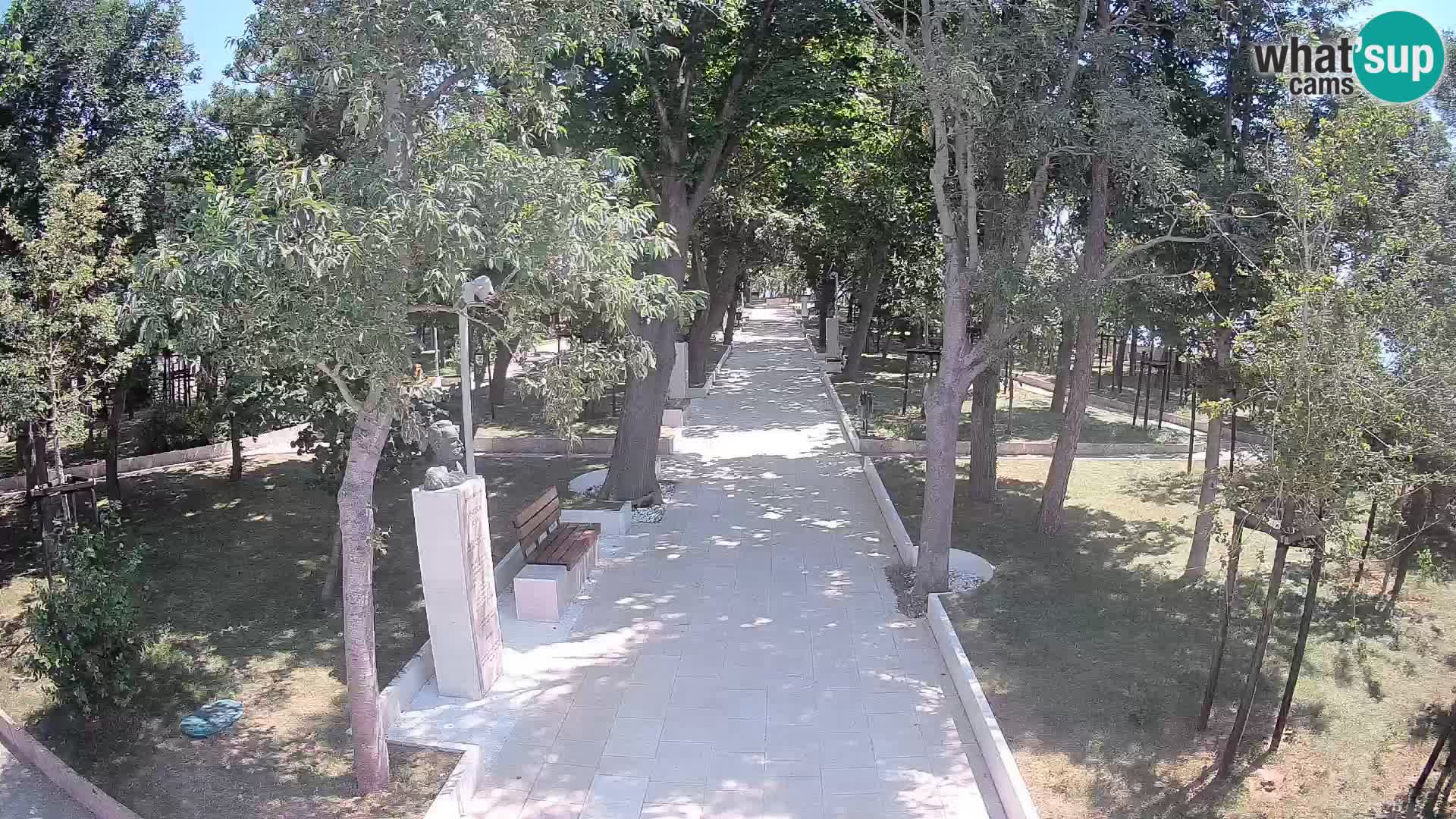 Webcam Parco degli Scrittori Segna – Diretta sul Mare